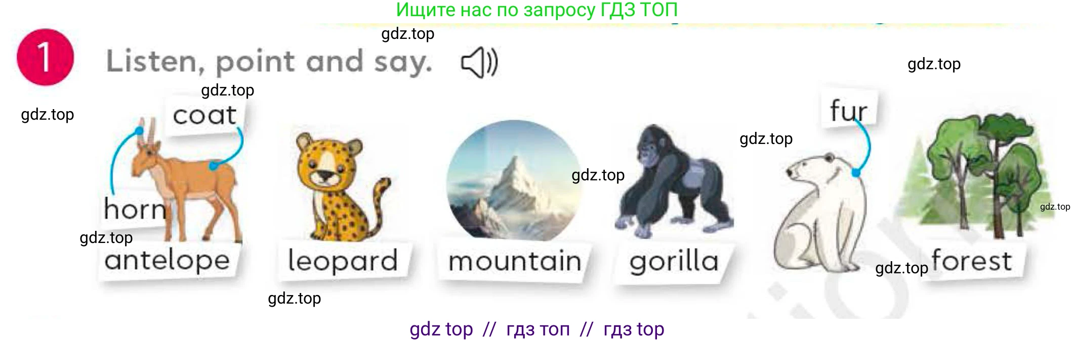 Английский язык (english), 4 класс Учебник (Student's book), авторы: Митчелл Гарольд (Mitchell Harold), Малгогианни Марилени (Malkogianni Marileni), Василиу Константина (Vasileiou Konstantina), издательство MM Publications, Алматы, 2024, голубого цвета, страница 70, номер 1, Условие