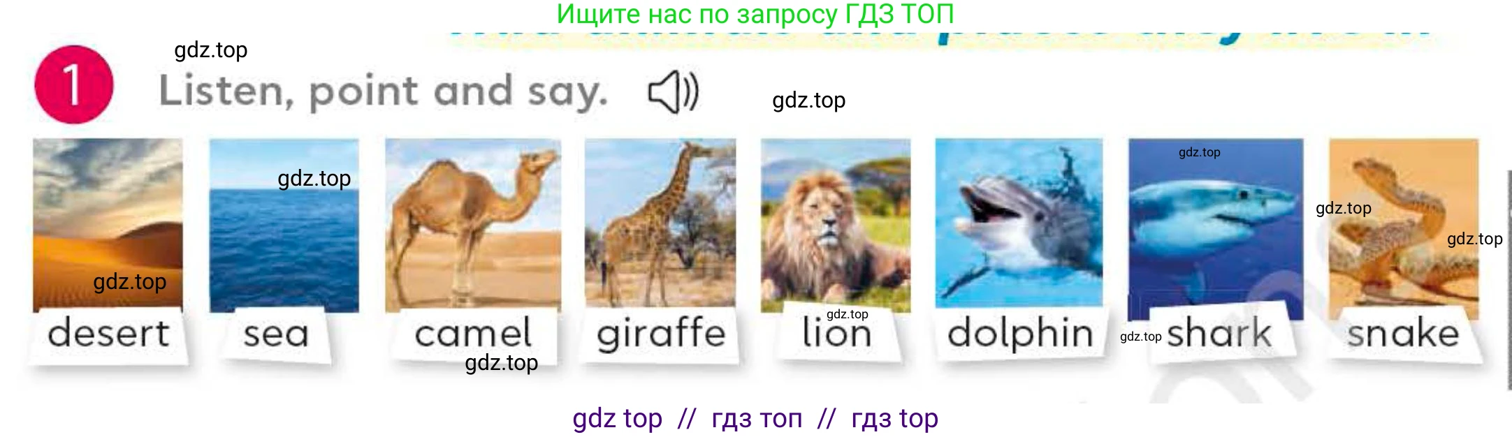 Английский язык (english), 4 класс Учебник (Student's book), авторы: Митчелл Гарольд (Mitchell Harold), Малгогианни Марилени (Malkogianni Marileni), Василиу Константина (Vasileiou Konstantina), издательство MM Publications, Алматы, 2024, голубого цвета, страница 72, номер 1, Условие