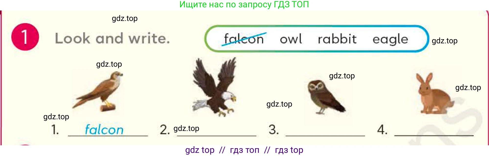 Английский язык (english), 4 класс Учебник (Student's book), авторы: Митчелл Гарольд (Mitchell Harold), Малгогианни Марилени (Malkogianni Marileni), Василиу Константина (Vasileiou Konstantina), издательство MM Publications, Алматы, 2024, голубого цвета, страница 75, номер 1, Условие