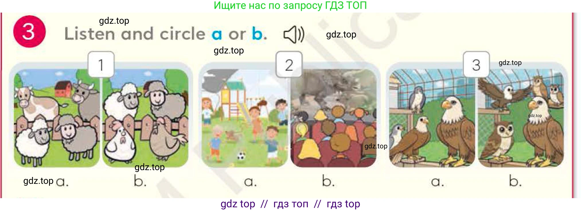 Английский язык (english), 4 класс Учебник (Student's book), авторы: Митчелл Гарольд (Mitchell Harold), Малгогианни Марилени (Malkogianni Marileni), Василиу Константина (Vasileiou Konstantina), издательство MM Publications, Алматы, 2024, голубого цвета, страница 75, номер 3, Условие
