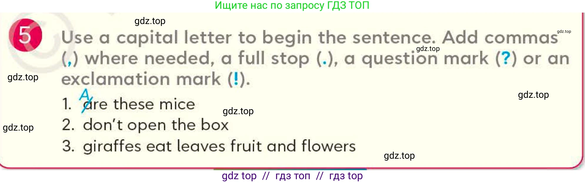 Английский язык (english), 4 класс Учебник (Student's book), авторы: Митчелл Гарольд (Mitchell Harold), Малгогианни Марилени (Malkogianni Marileni), Василиу Константина (Vasileiou Konstantina), издательство MM Publications, Алматы, 2024, голубого цвета, страница 75, номер 5, Условие