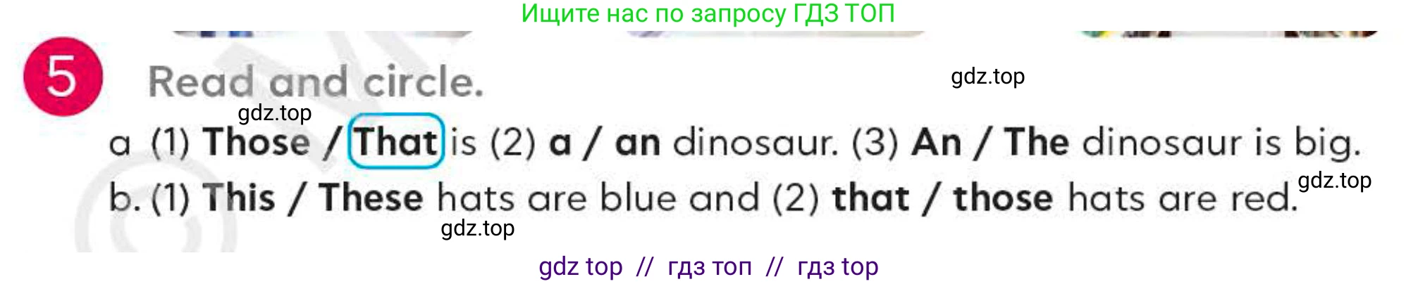 Английский язык (english), 4 класс Учебник (Student's book), авторы: Митчелл Гарольд (Mitchell Harold), Малгогианни Марилени (Malkogianni Marileni), Василиу Константина (Vasileiou Konstantina), издательство MM Publications, Алматы, 2024, голубого цвета, страница 81, номер 5, Условие