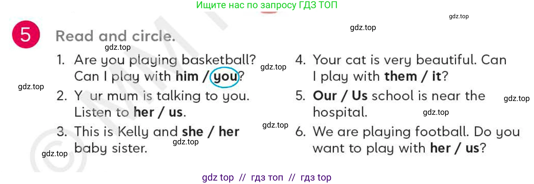 Английский язык (english), 4 класс Учебник (Student's book), авторы: Митчелл Гарольд (Mitchell Harold), Малгогианни Марилени (Malkogianni Marileni), Василиу Константина (Vasileiou Konstantina), издательство MM Publications, Алматы, 2024, голубого цвета, страница 95, номер 5, Условие