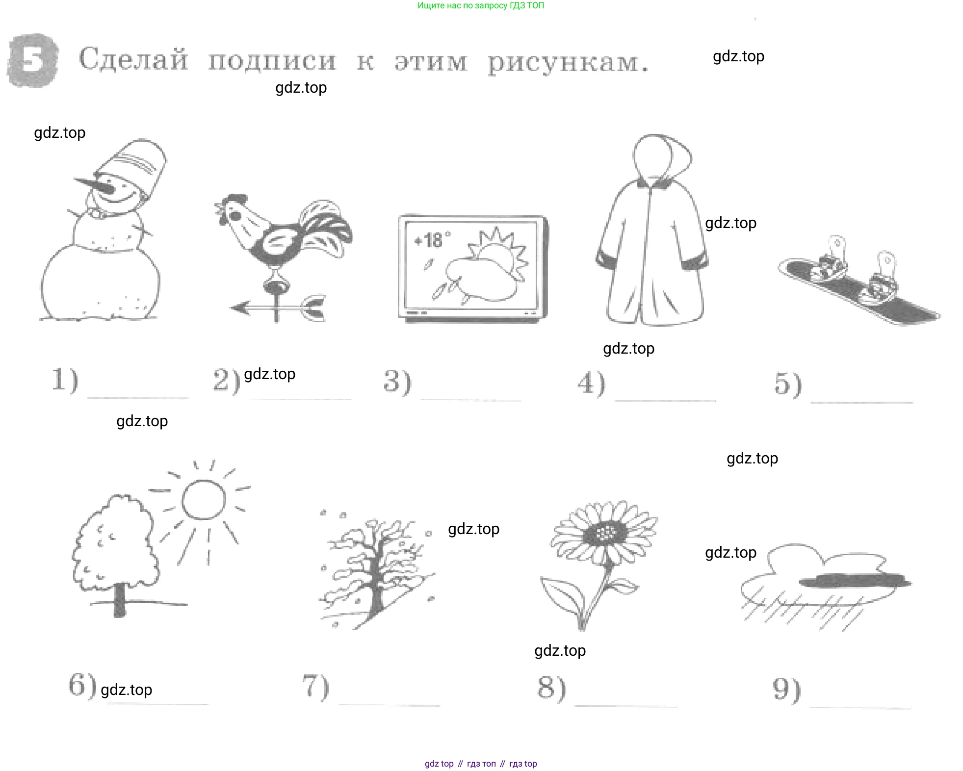 ГДЗ Английский язык (english), 4 класс рабочая тетрадь, авторы: Афанасьева Ольга Васильевна (Afanasyeva Olga), Михеева Ирина Владимировна (Mikheeva Irina), издательство Дрофа, Москва, 2013 - 2023, сиреневого цвета, страница 102, номер 5, Условие