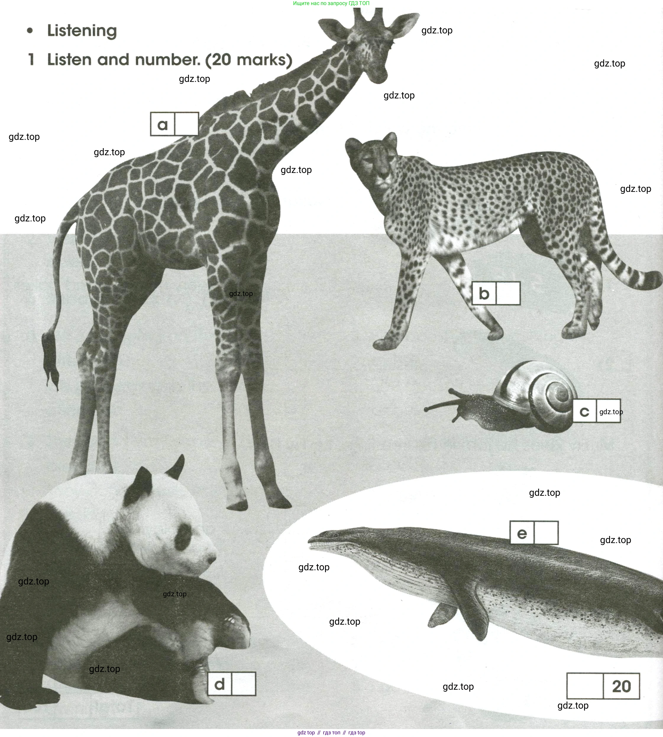 ГДЗ Английский язык (english), 4 класс контрольные задания (test booklet), авторы: Баранова Ксения Михайловна (Baranova Ksenia), Дули Дженни (Dooley Jenny), Копылова Виктория Викторовна (Kopylova Victoria), Мильруд Радислав Петрович (Millrood Radislav), Эванс Вирджиния (Evans Virginia), издательство Просвещение, Москва, 2023, серого цвета, страница 32, номер 1, Условие