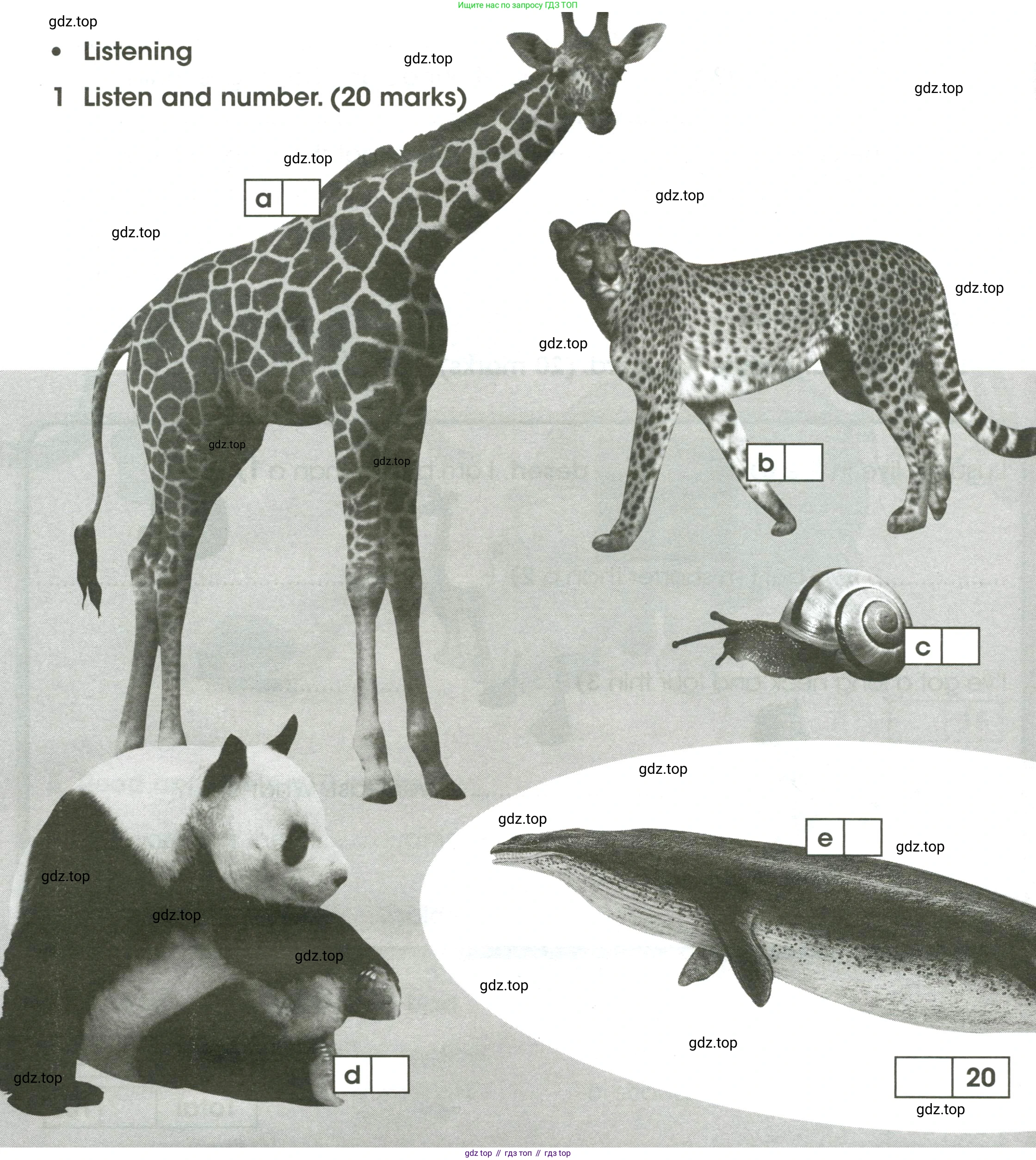 ГДЗ Английский язык (english), 4 класс контрольные задания (test booklet), авторы: Баранова Ксения Михайловна (Baranova Ksenia), Дули Дженни (Dooley Jenny), Копылова Виктория Викторовна (Kopylova Victoria), Мильруд Радислав Петрович (Millrood Radislav), Эванс Вирджиния (Evans Virginia), издательство Просвещение, Москва, 2023, серого цвета, страница 36, номер 1, Условие