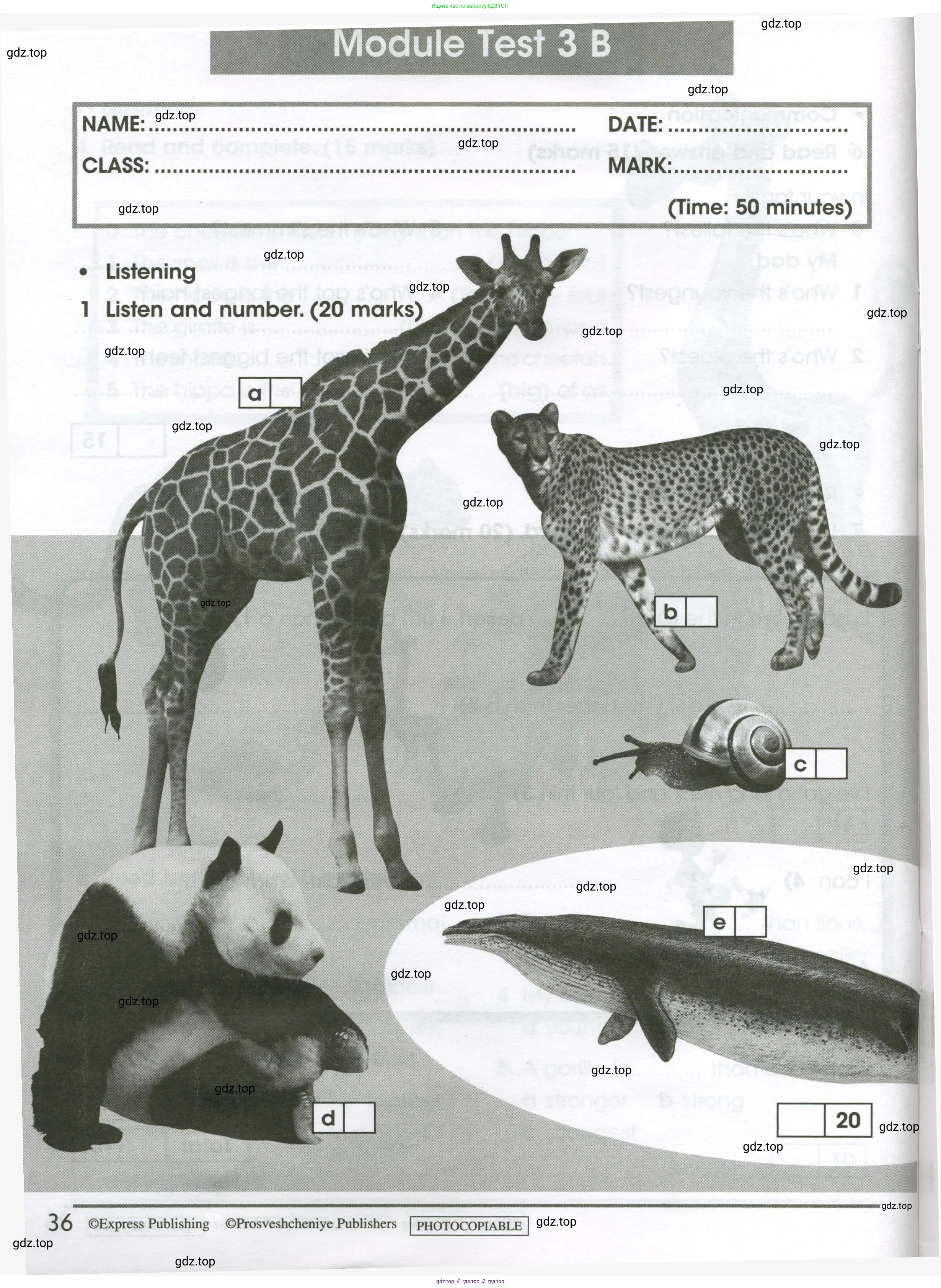 Английский язык (english), 4 класс контрольные задания (test booklet), авторы: Баранова Ксения Михайловна (Baranova Ksenia), Дули Дженни (Dooley Jenny), Копылова Виктория Викторовна (Kopylova Victoria), Мильруд Радислав Петрович (Millrood Radislav), Эванс Вирджиния (Evans Virginia), издательство Просвещение, Москва, 2023, серого цвета, страница 36