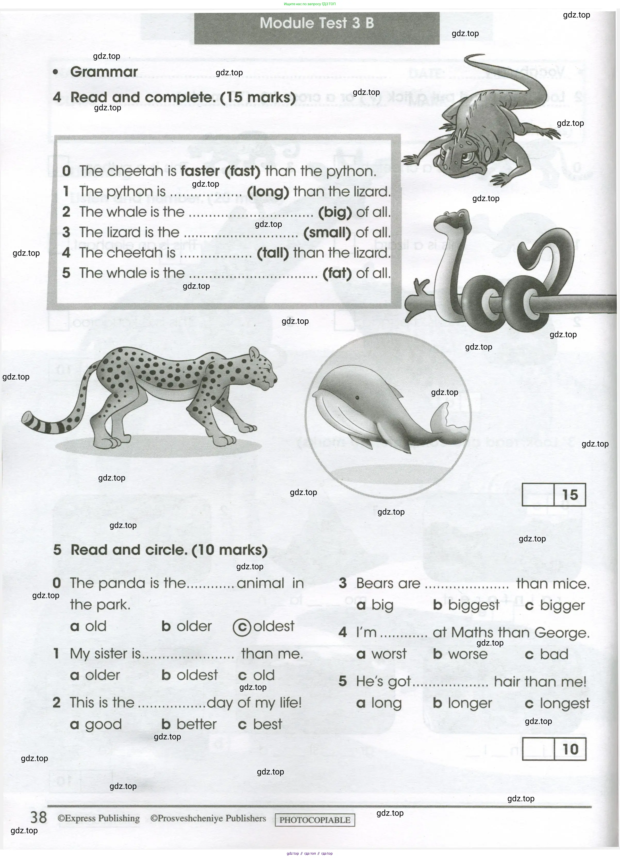 Английский язык (english), 4 класс контрольные задания (test booklet), авторы: Баранова Ксения Михайловна (Baranova Ksenia), Дули Дженни (Dooley Jenny), Копылова Виктория Викторовна (Kopylova Victoria), Мильруд Радислав Петрович (Millrood Radislav), Эванс Вирджиния (Evans Virginia), издательство Просвещение, Москва, 2023, серого цвета, страница 38