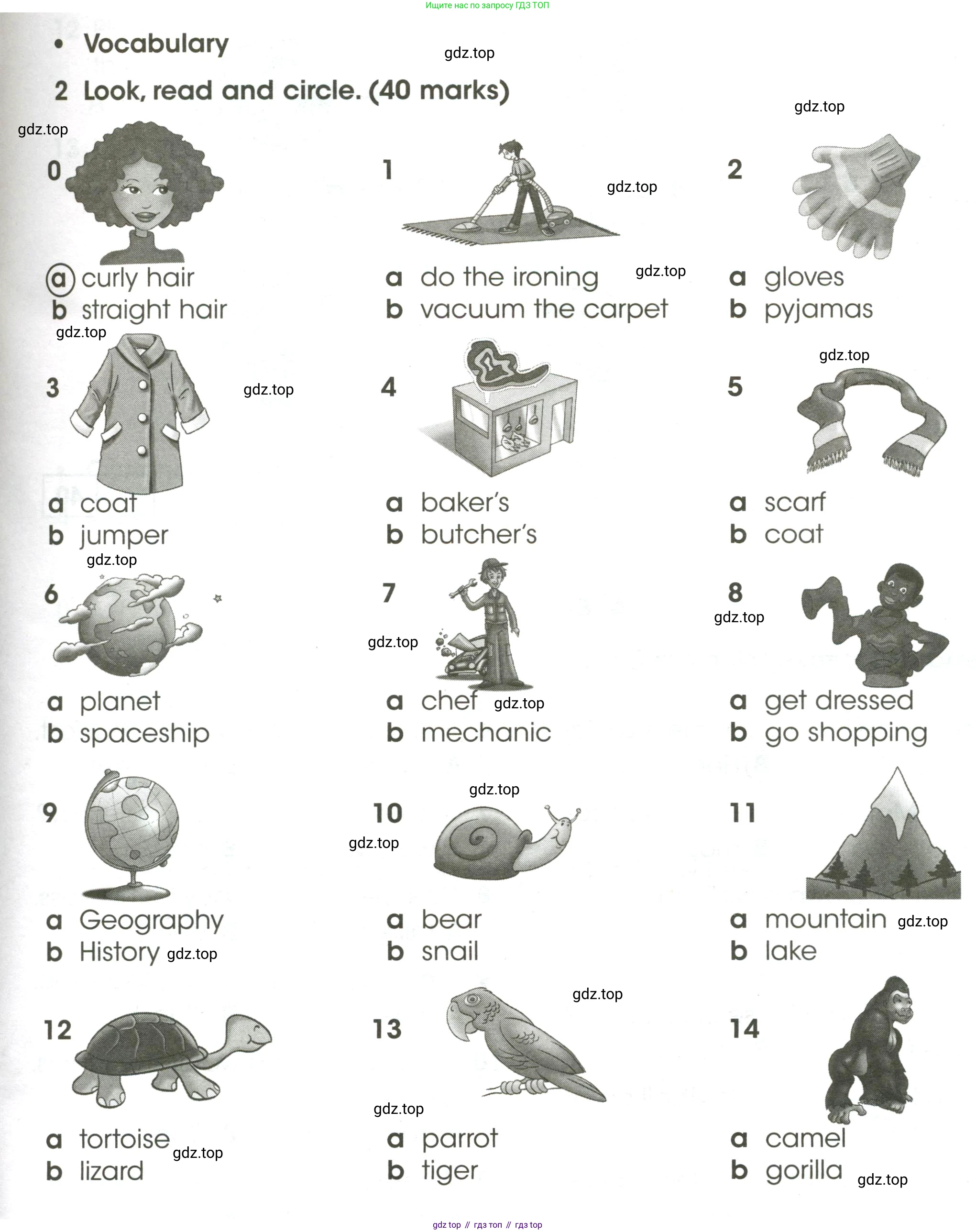 ГДЗ Английский язык (english), 4 класс контрольные задания (test booklet), авторы: Баранова Ксения Михайловна (Baranova Ksenia), Дули Дженни (Dooley Jenny), Копылова Виктория Викторовна (Kopylova Victoria), Мильруд Радислав Петрович (Millrood Radislav), Эванс Вирджиния (Evans Virginia), издательство Просвещение, Москва, 2023, серого цвета, страница 49, номер 2, Условие
