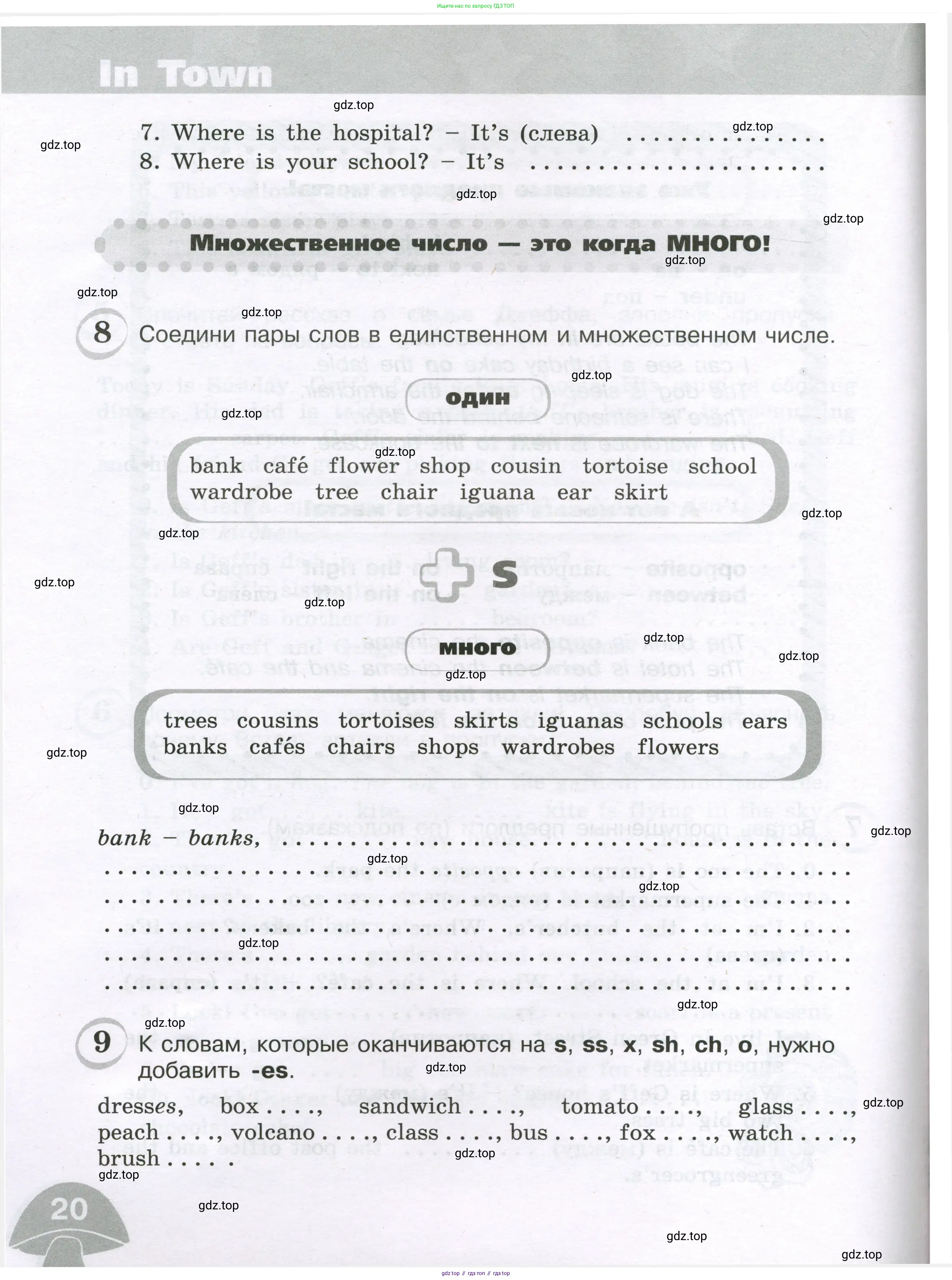 Английский язык (english), 4 класс сборник грамматических упражнений, автор: Рязанцева Светлана Борисовна, издательство Просвещение, Москва, 2023, белого цвета, страница 20