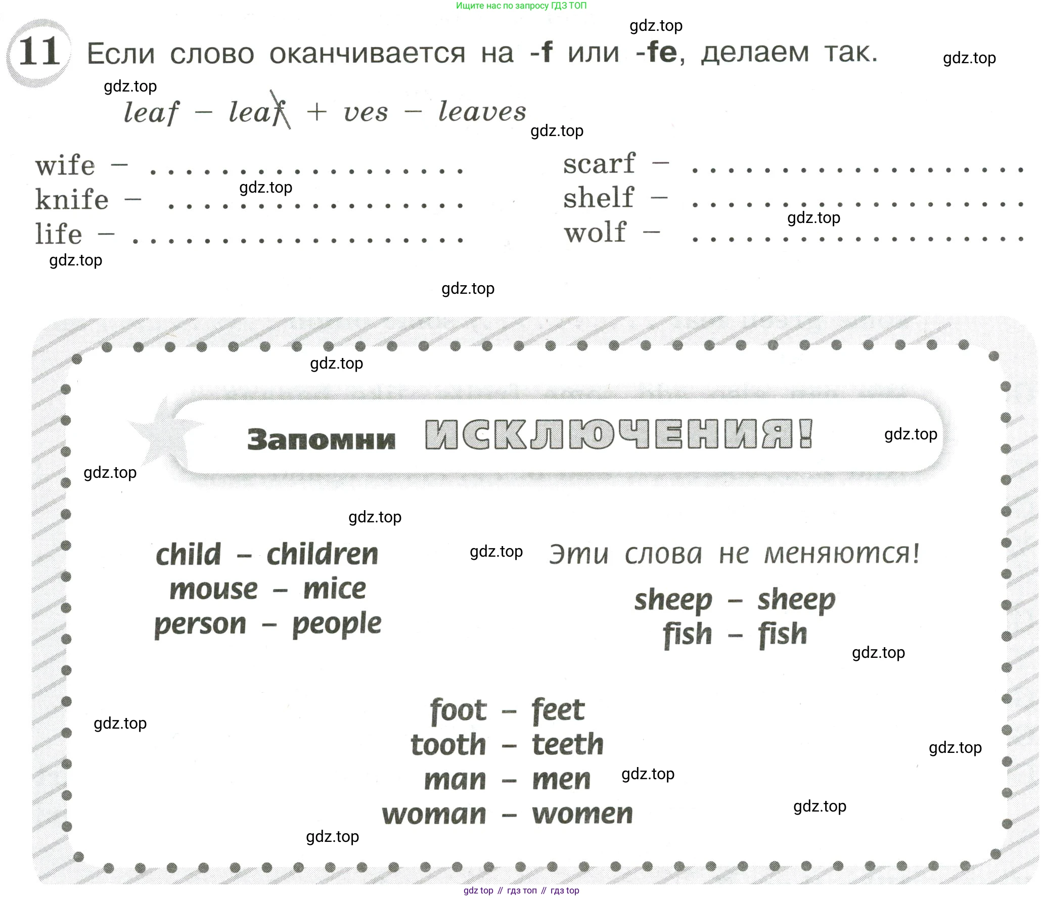ГДЗ Английский язык (english), 4 класс сборник грамматических упражнений, автор: Рязанцева Светлана Борисовна, издательство Просвещение, Москва, 2023, белого цвета, страница 21, номер 11, Условие
