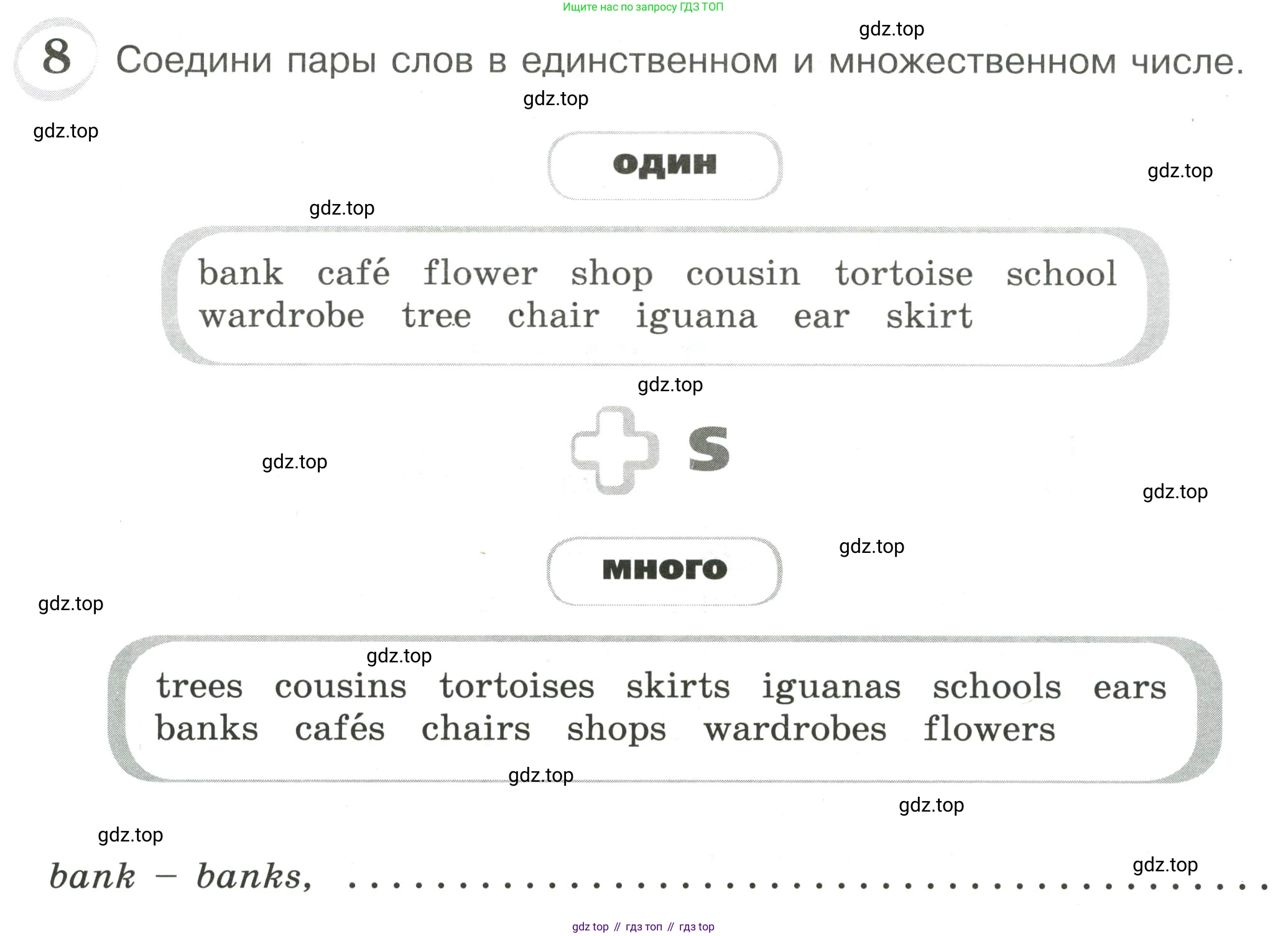 ГДЗ Английский язык (english), 4 класс сборник грамматических упражнений, автор: Рязанцева Светлана Борисовна, издательство Просвещение, Москва, 2023, белого цвета, страница 20, номер 8, Условие