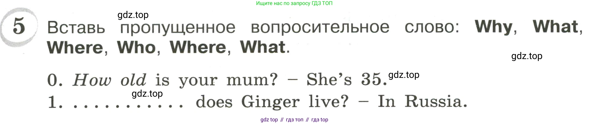 ГДЗ Английский язык (english), 4 класс сборник грамматических упражнений, автор: Рязанцева Светлана Борисовна, издательство Просвещение, Москва, 2023, белого цвета, страница 73, номер 5, Условие
