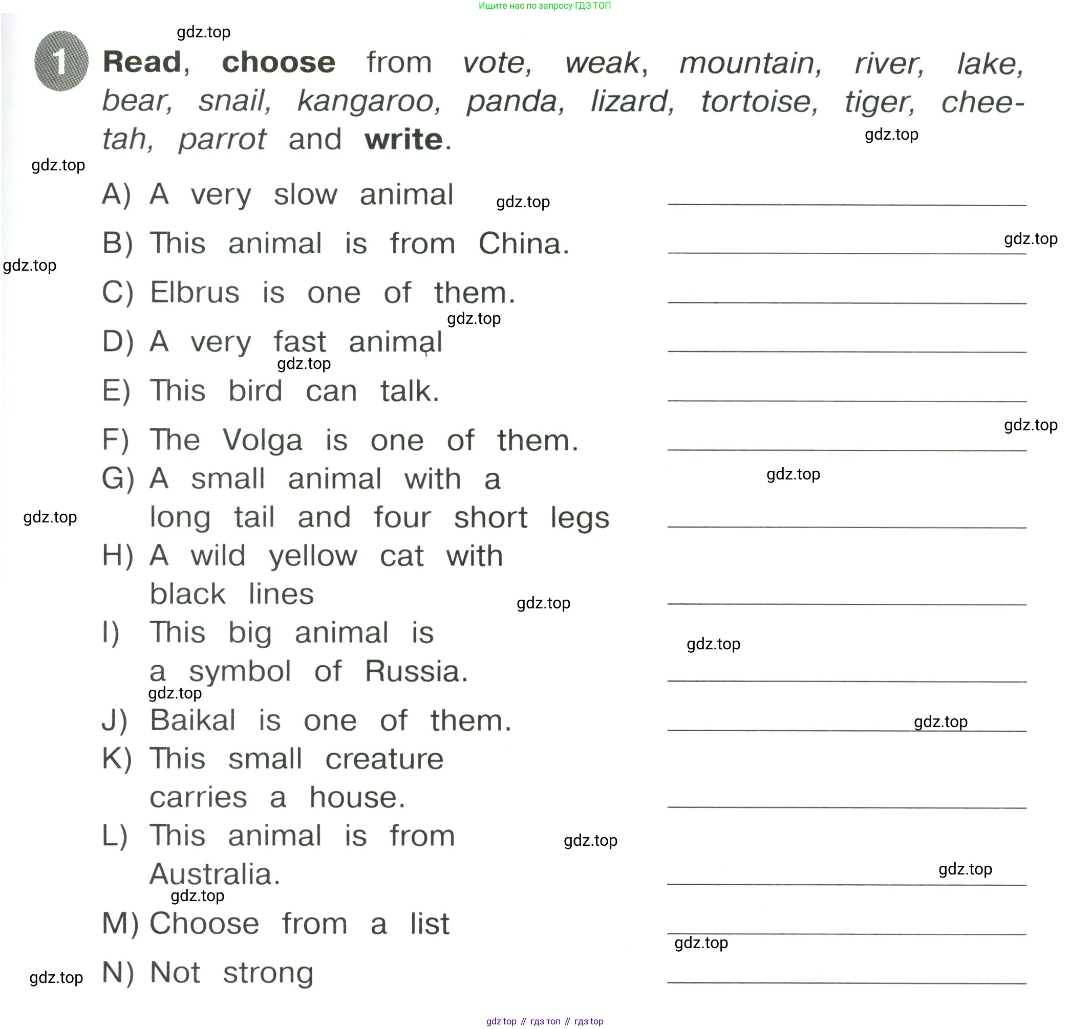 Английский язык (english), 4 класс Сборник упражнений, автор: Котова Марина Петровна, издательство Просвещение, Москва, 2023, белого цвета, страница 39, номер 1, Условие