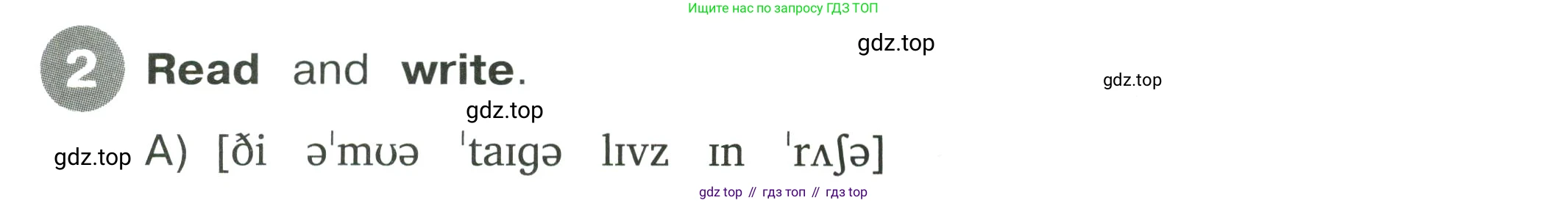 Английский язык (english), 4 класс Сборник упражнений, автор: Котова Марина Петровна, издательство Просвещение, Москва, 2023, белого цвета, страница 39, номер 2, Условие