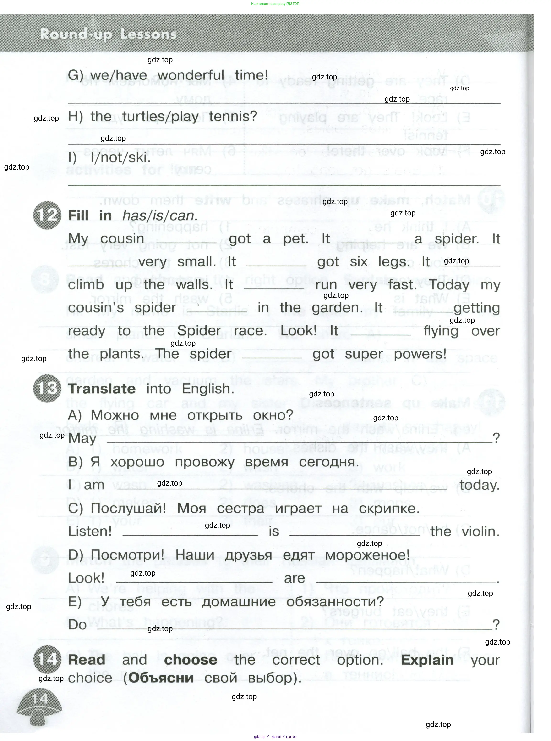 Английский язык (english), 4 класс Сборник упражнений, автор: Котова Марина Петровна, издательство Просвещение, Москва, 2023, белого цвета, страница 14
