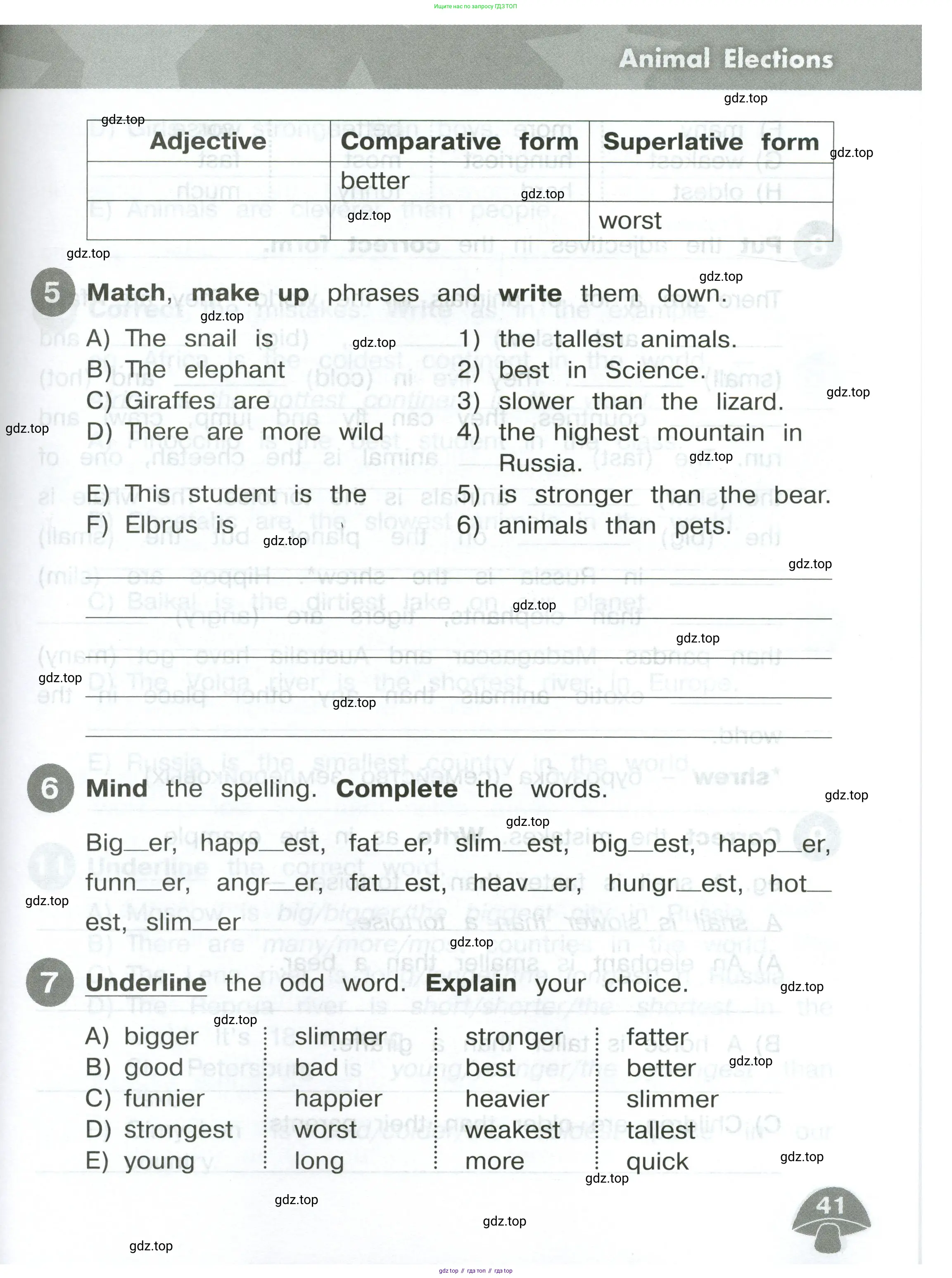 Английский язык (english), 4 класс Сборник упражнений, автор: Котова Марина Петровна, издательство Просвещение, Москва, 2023, белого цвета, страница 41