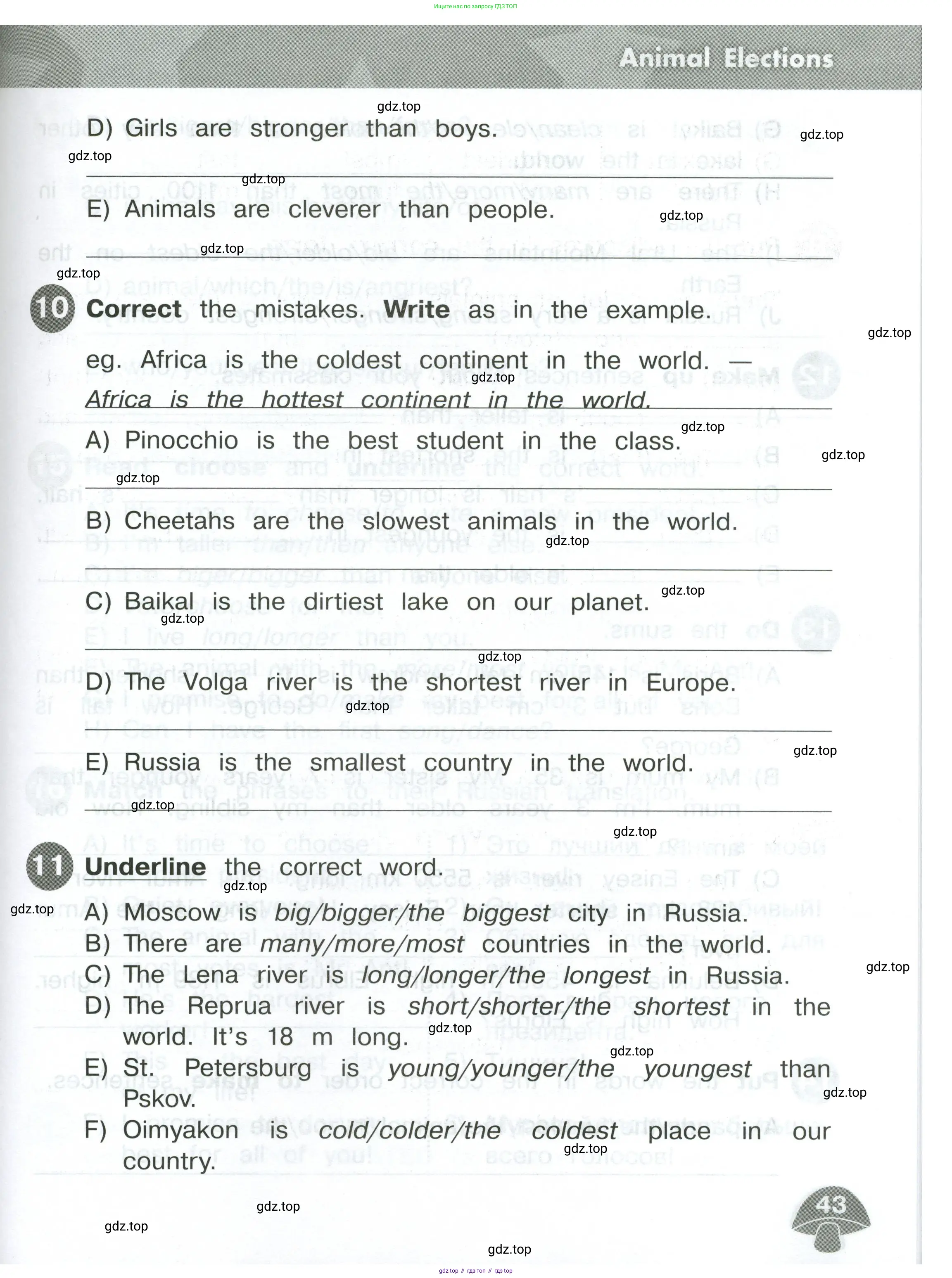 Английский язык (english), 4 класс Сборник упражнений, автор: Котова Марина Петровна, издательство Просвещение, Москва, 2023, белого цвета, страница 43