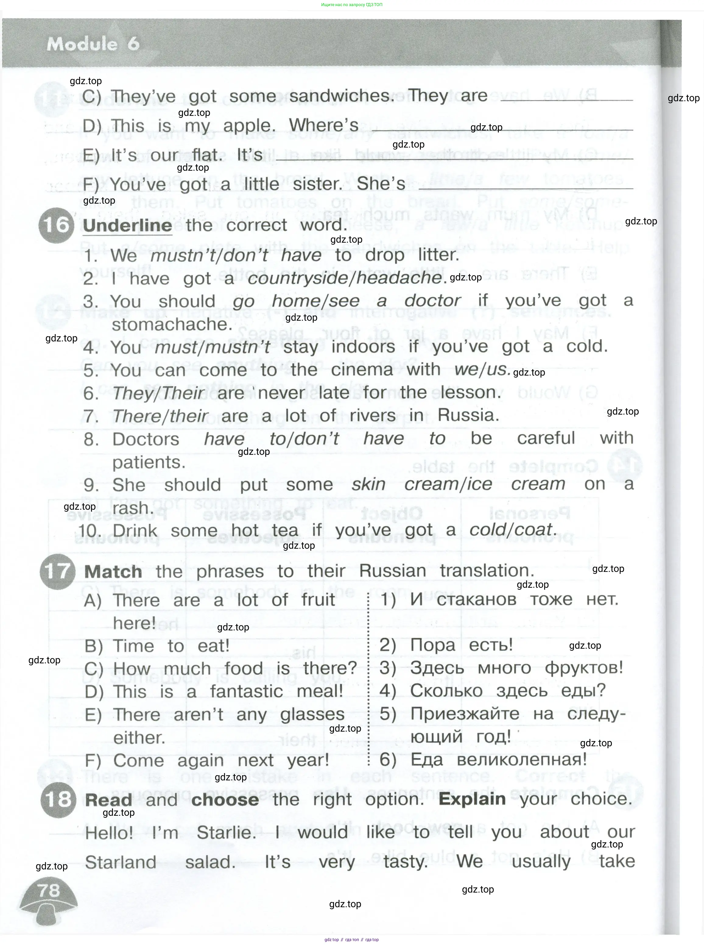 Английский язык (english), 4 класс Сборник упражнений, автор: Котова Марина Петровна, издательство Просвещение, Москва, 2023, белого цвета, страница 78