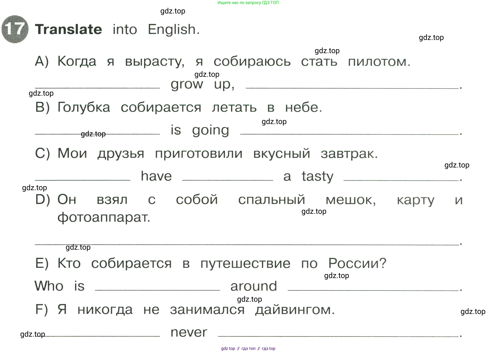 Английский язык (english), 4 класс Сборник упражнений, автор: Котова Марина Петровна, издательство Просвещение, Москва, 2023, белого цвета, страница 119, номер 17, Условие