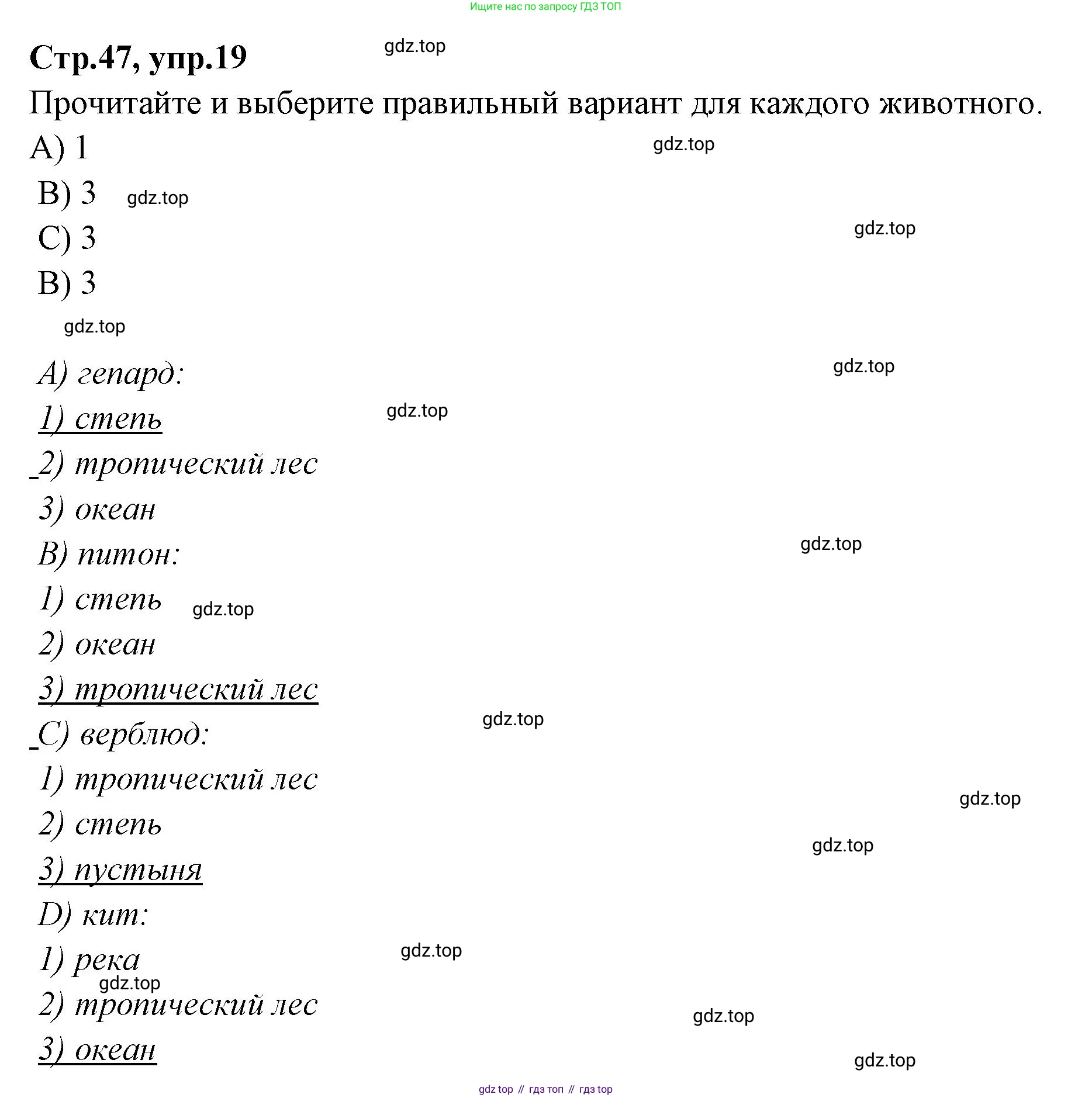 Английский язык (english), 4 класс Сборник упражнений, автор: Котова Марина Петровна, издательство Просвещение, Москва, 2023, белого цвета, страница 47, номер 19, Решение
