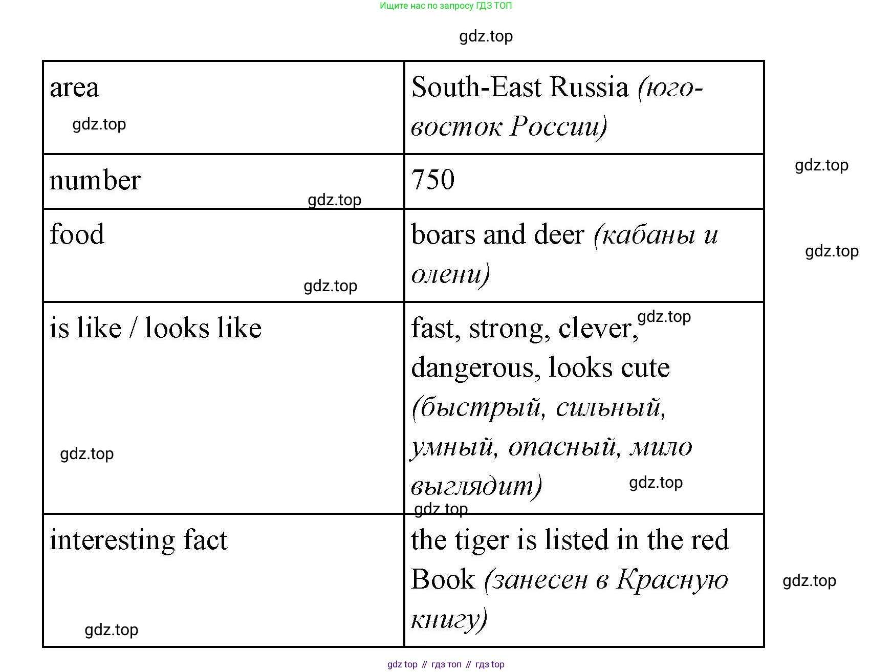 Английский язык (english), 4 класс Сборник упражнений, автор: Котова Марина Петровна, издательство Просвещение, Москва, 2023, белого цвета, страница 49, номер 24, Решение (продолжение 2)