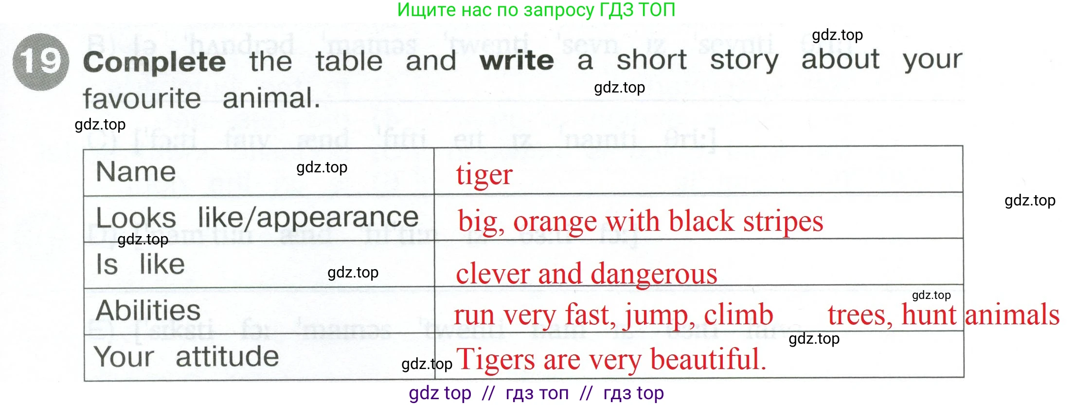Английский язык (english), 4 класс Сборник упражнений, автор: Котова Марина Петровна, издательство Просвещение, Москва, 2023, белого цвета, страница 17, номер 19, Решение 2