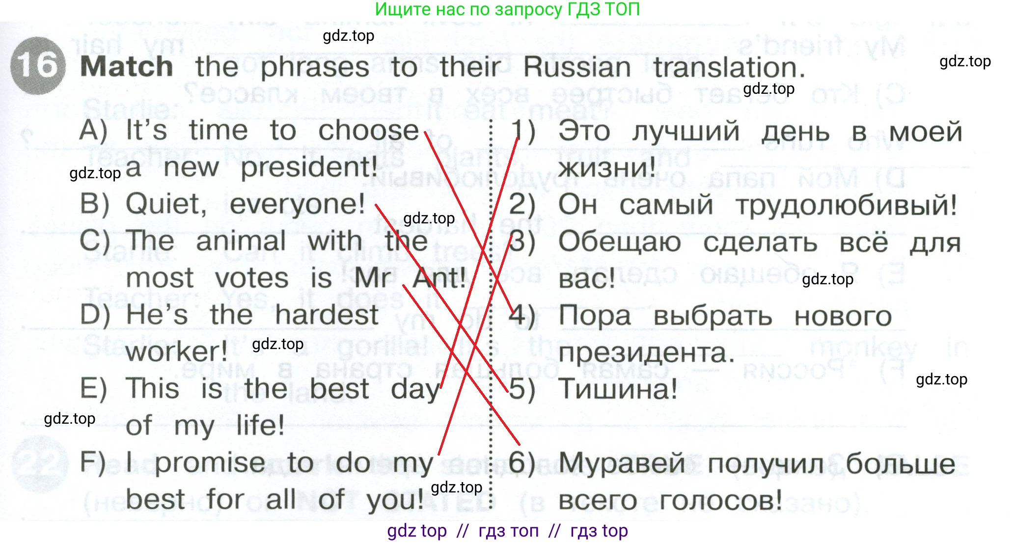 Английский язык (english), 4 класс Сборник упражнений, автор: Котова Марина Петровна, издательство Просвещение, Москва, 2023, белого цвета, страница 45, номер 16, Решение 2