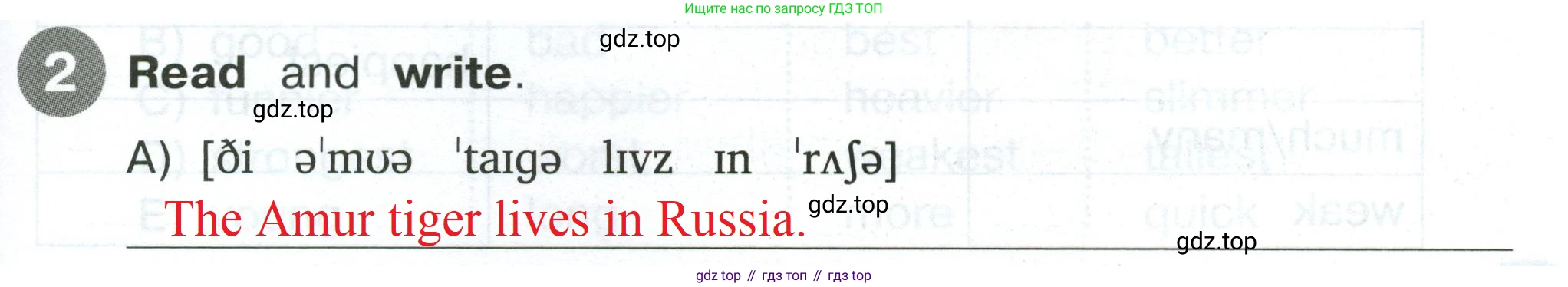 Английский язык (english), 4 класс Сборник упражнений, автор: Котова Марина Петровна, издательство Просвещение, Москва, 2023, белого цвета, страница 39, номер 2, Решение 2