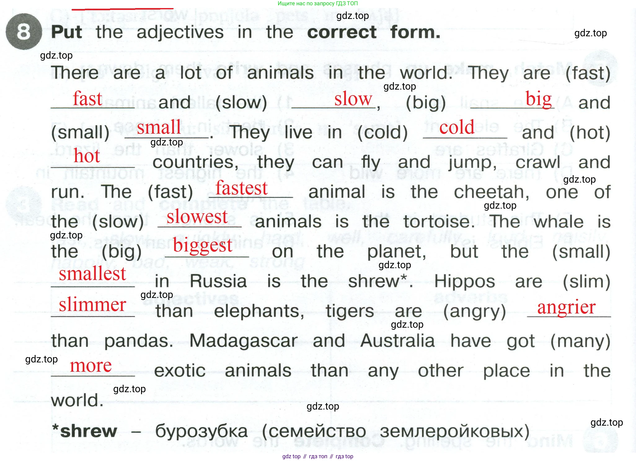 Английский язык (english), 4 класс Сборник упражнений, автор: Котова Марина Петровна, издательство Просвещение, Москва, 2023, белого цвета, страница 42, номер 8, Решение 2