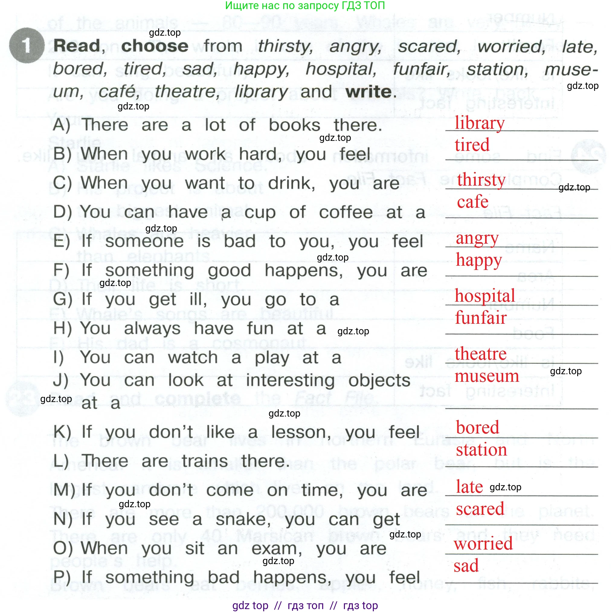 Английский язык (english), 4 класс Сборник упражнений, автор: Котова Марина Петровна, издательство Просвещение, Москва, 2023, белого цвета, страница 50, номер 1, Решение 2
