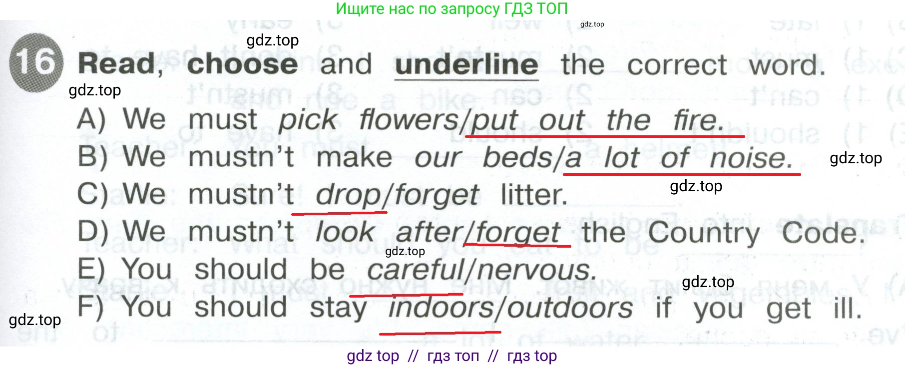 Английский язык (english), 4 класс Сборник упражнений, автор: Котова Марина Петровна, издательство Просвещение, Москва, 2023, белого цвета, страница 67, номер 16, Решение 2