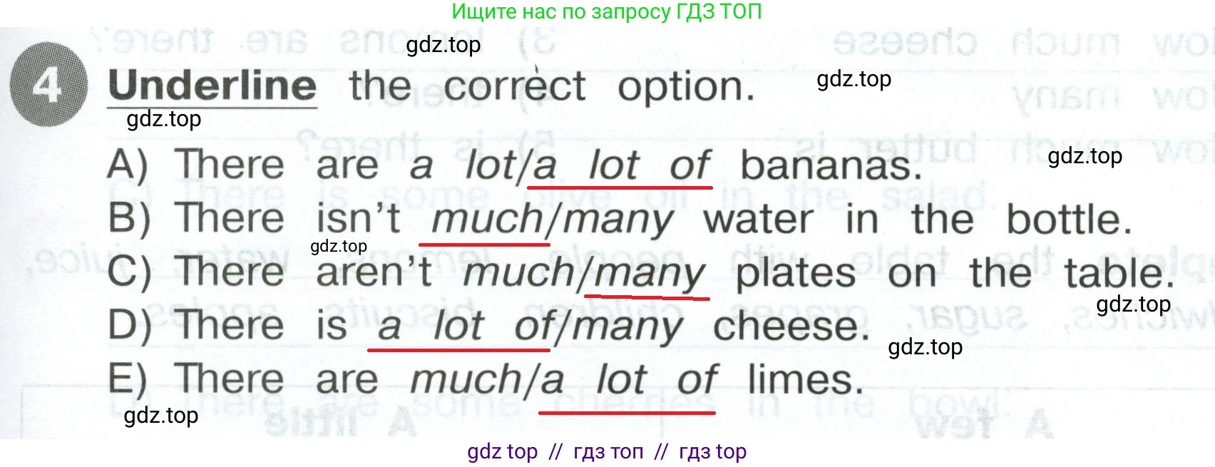 Английский язык (english), 4 класс Сборник упражнений, автор: Котова Марина Петровна, издательство Просвещение, Москва, 2023, белого цвета, страница 73, номер 4, Решение 2