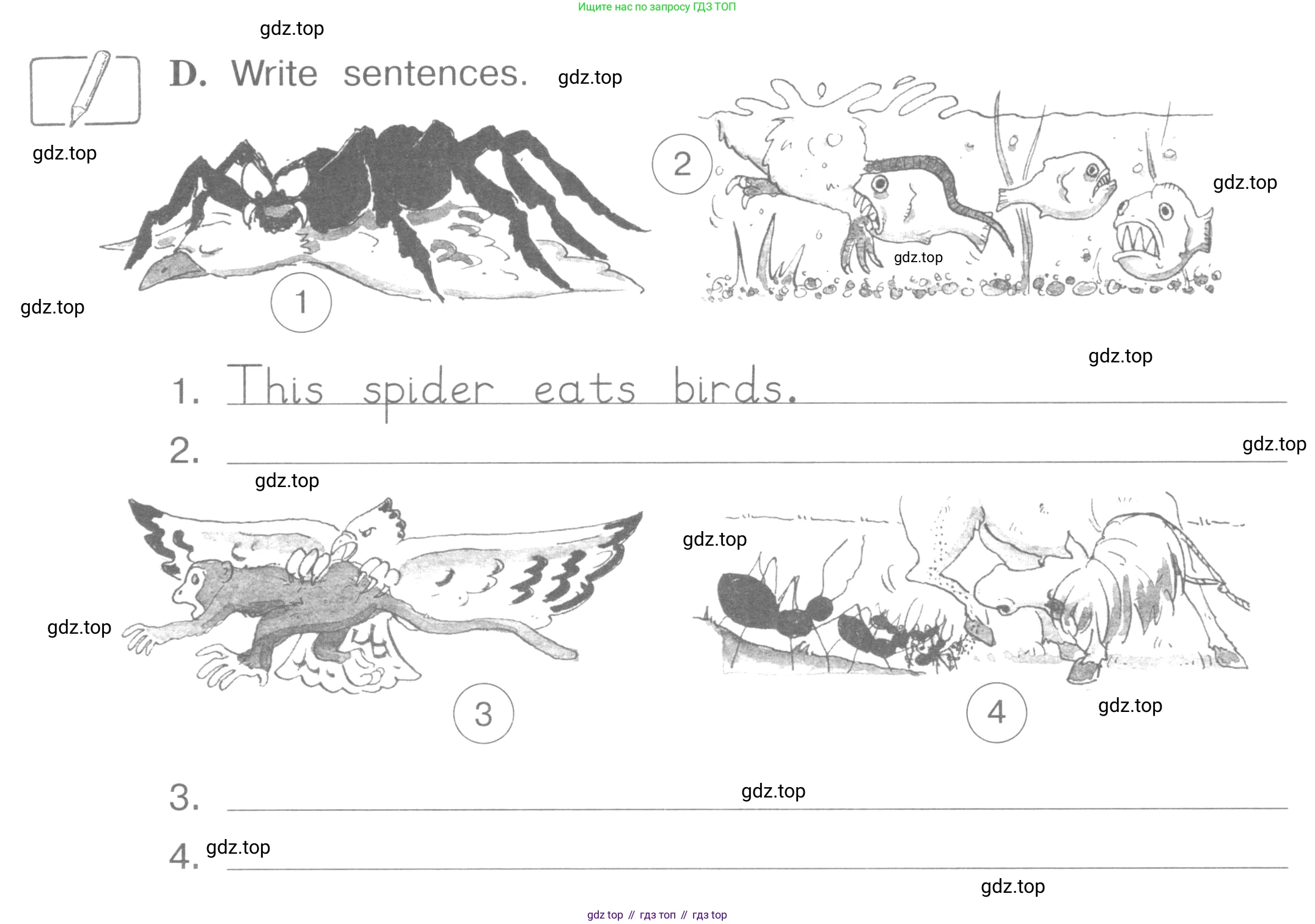 ГДЗ Английский язык (english), 4 класс рабочая тетрадь (activity book), авторы: Вербицкая Мария Валерьевна (Verbitskaya Maria), Эббс Брайен (Abbs Brian), Уорелл Энн (Worrall Anne), Уорд Энн (Ward Ann), издательство Вентана-граф, Москва, 2017, оранжевого цвета, страница 21, номер D, Условие