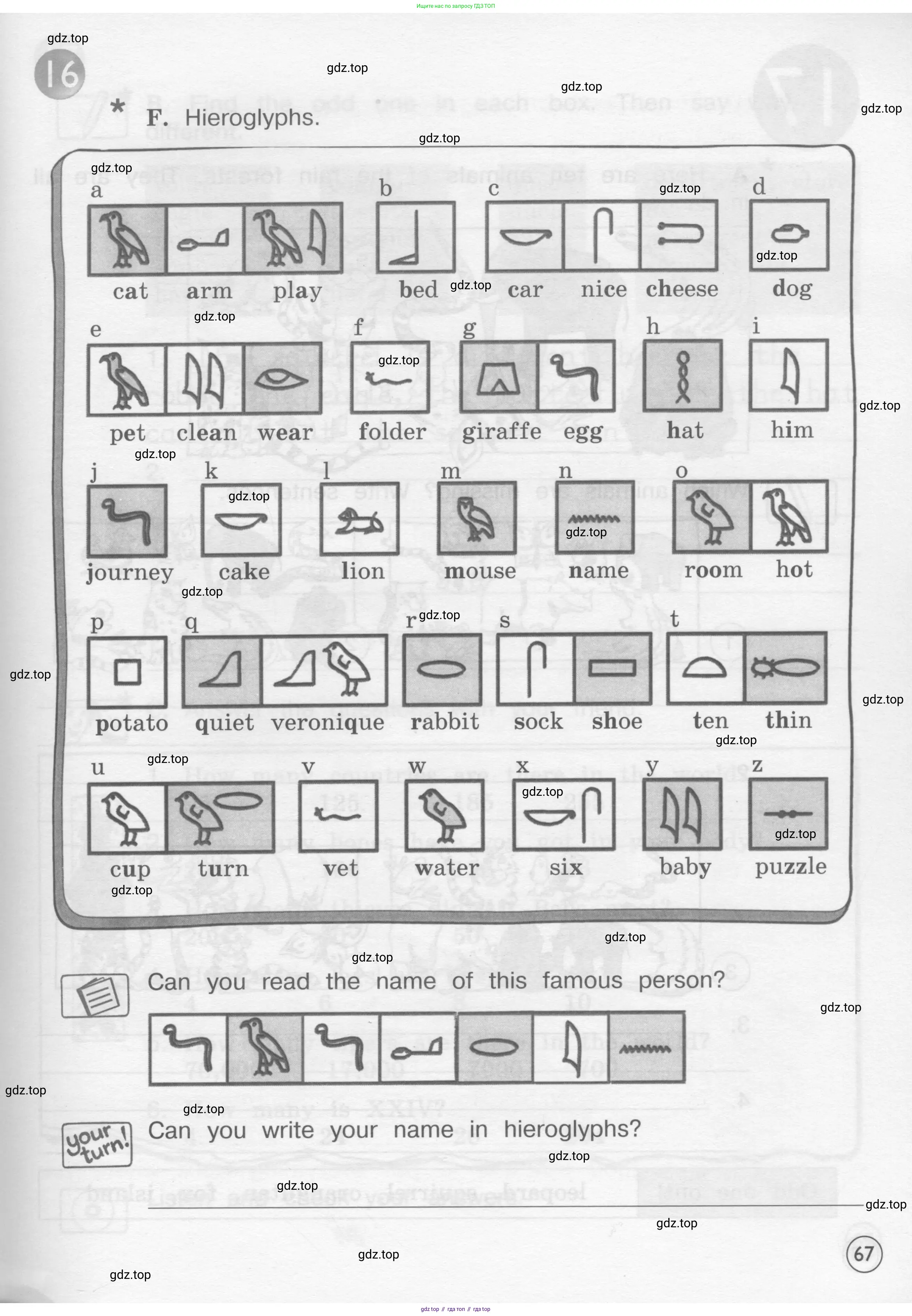 Английский язык (english), 4 класс рабочая тетрадь (activity book), авторы: Вербицкая Мария Валерьевна (Verbitskaya Maria), Эббс Брайен (Abbs Brian), Уорелл Энн (Worrall Anne), Уорд Энн (Ward Ann), издательство Вентана-граф, Москва, 2017, оранжевого цвета, страница 67