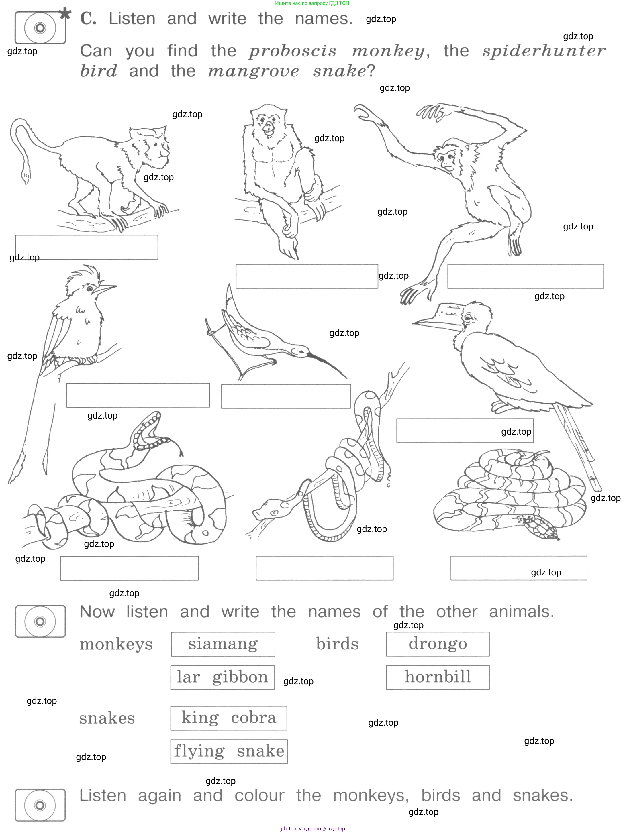 ГДЗ Английский язык (english), 4 класс рабочая тетрадь (activity book), авторы: Вербицкая Мария Валерьевна (Verbitskaya Maria), Эббс Брайен (Abbs Brian), Уорелл Энн (Worrall Anne), Уорд Энн (Ward Ann), издательство Вентана-граф, Москва, 2017, оранжевого цвета, страница 45, номер C, Условие