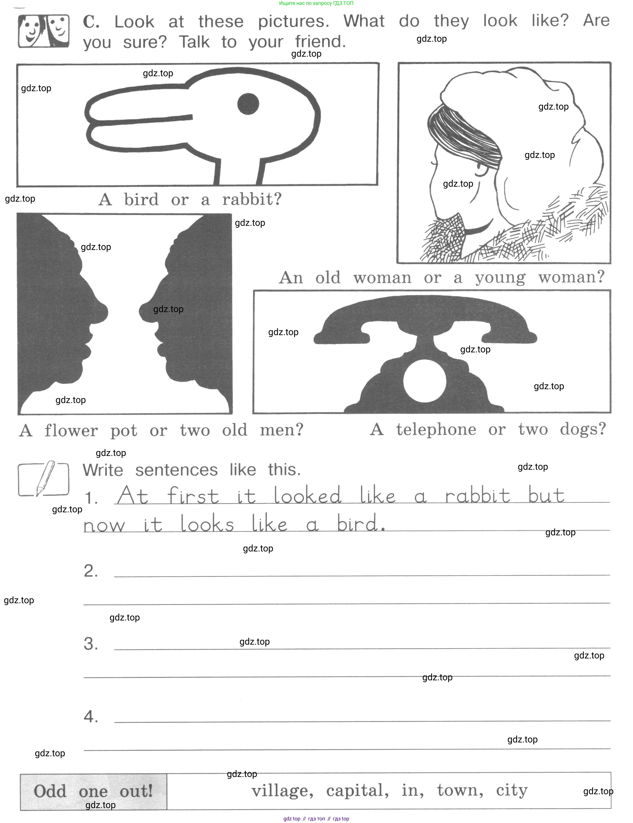 ГДЗ Английский язык (english), 4 класс рабочая тетрадь (activity book), авторы: Вербицкая Мария Валерьевна (Verbitskaya Maria), Эббс Брайен (Abbs Brian), Уорелл Энн (Worrall Anne), Уорд Энн (Ward Ann), издательство Вентана-граф, Москва, 2017, оранжевого цвета, страница 53, номер C, Условие