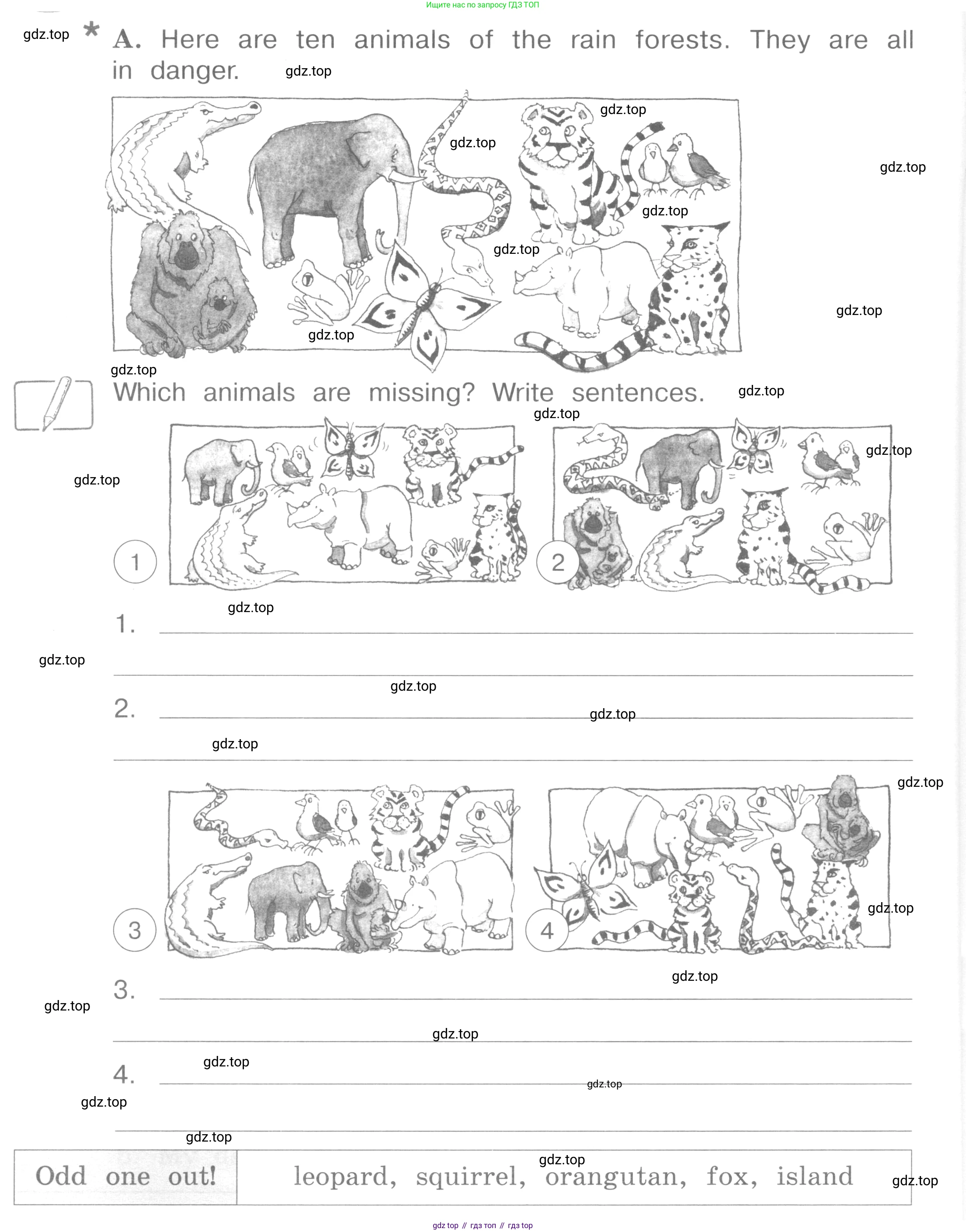 ГДЗ Английский язык (english), 4 класс рабочая тетрадь (activity book), авторы: Вербицкая Мария Валерьевна (Verbitskaya Maria), Эббс Брайен (Abbs Brian), Уорелл Энн (Worrall Anne), Уорд Энн (Ward Ann), издательство Вентана-граф, Москва, 2017, оранжевого цвета, страница 68, номер A, Условие