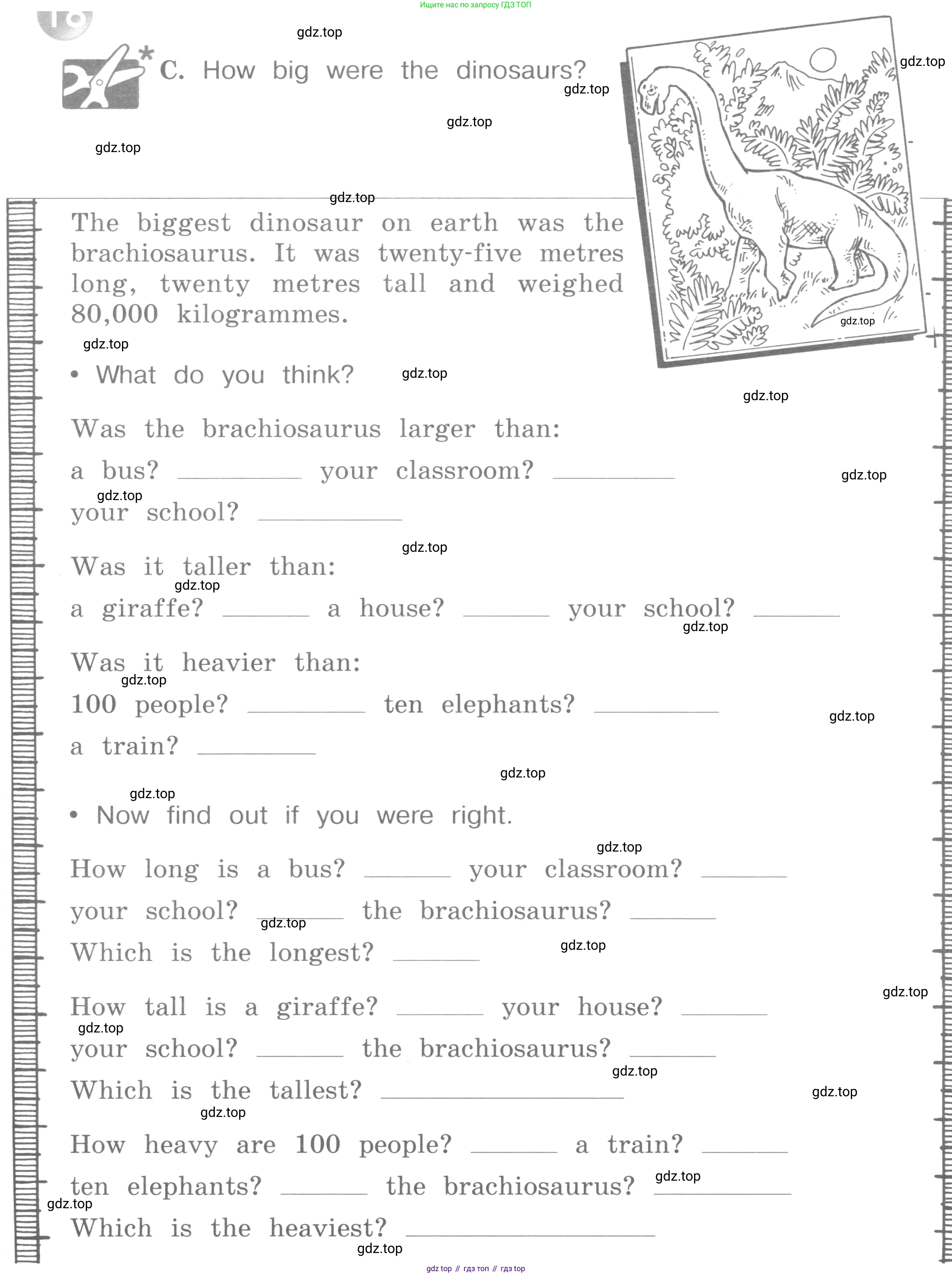 ГДЗ Английский язык (english), 4 класс рабочая тетрадь (activity book), авторы: Вербицкая Мария Валерьевна (Verbitskaya Maria), Эббс Брайен (Abbs Brian), Уорелл Энн (Worrall Anne), Уорд Энн (Ward Ann), издательство Вентана-граф, Москва, 2017, оранжевого цвета, страница 73, номер C, Условие