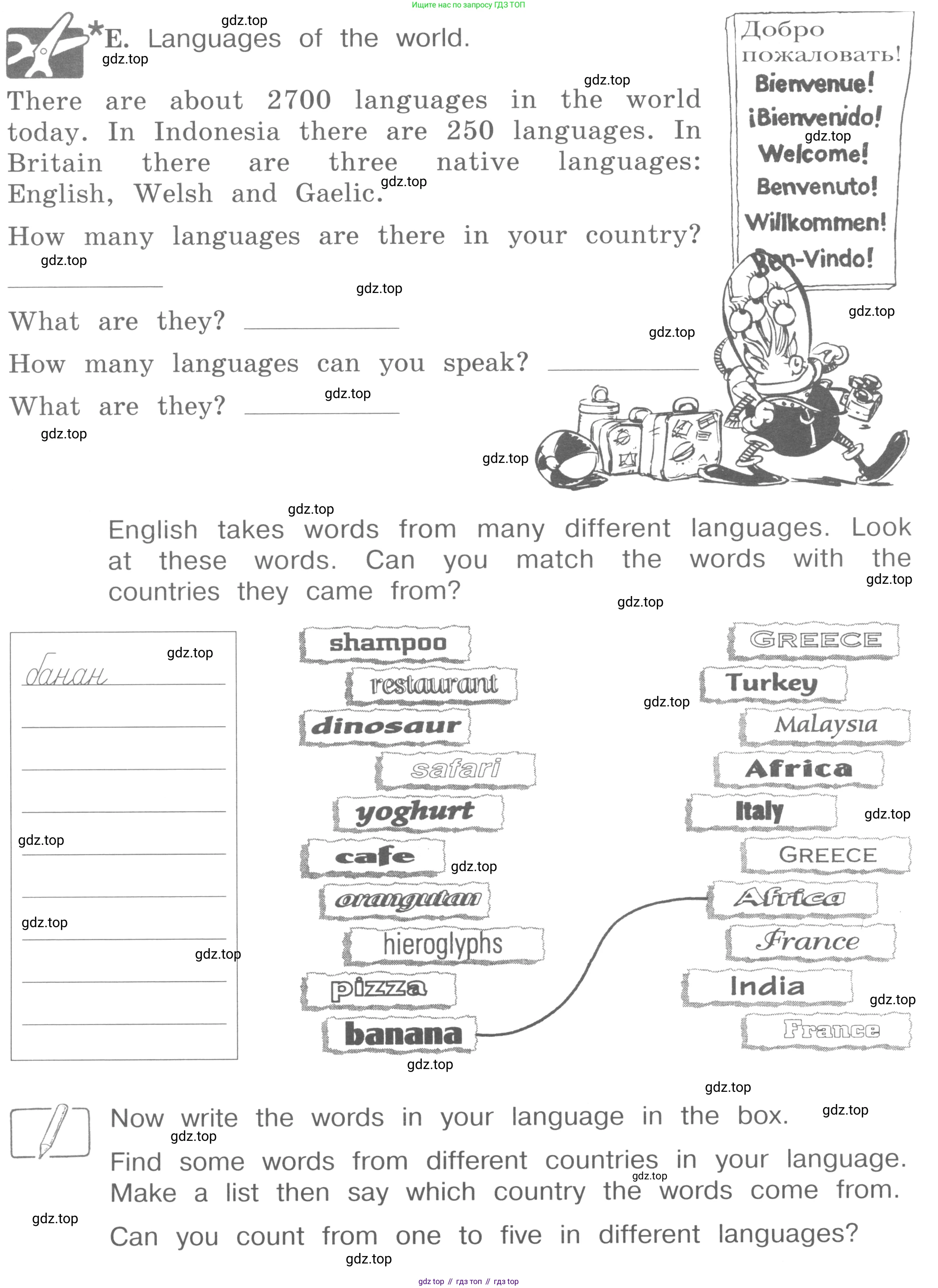 ГДЗ Английский язык (english), 4 класс рабочая тетрадь (activity book), авторы: Вербицкая Мария Валерьевна (Verbitskaya Maria), Эббс Брайен (Abbs Brian), Уорелл Энн (Worrall Anne), Уорд Энн (Ward Ann), издательство Вентана-граф, Москва, 2017, оранжевого цвета, страница 82, номер E, Условие