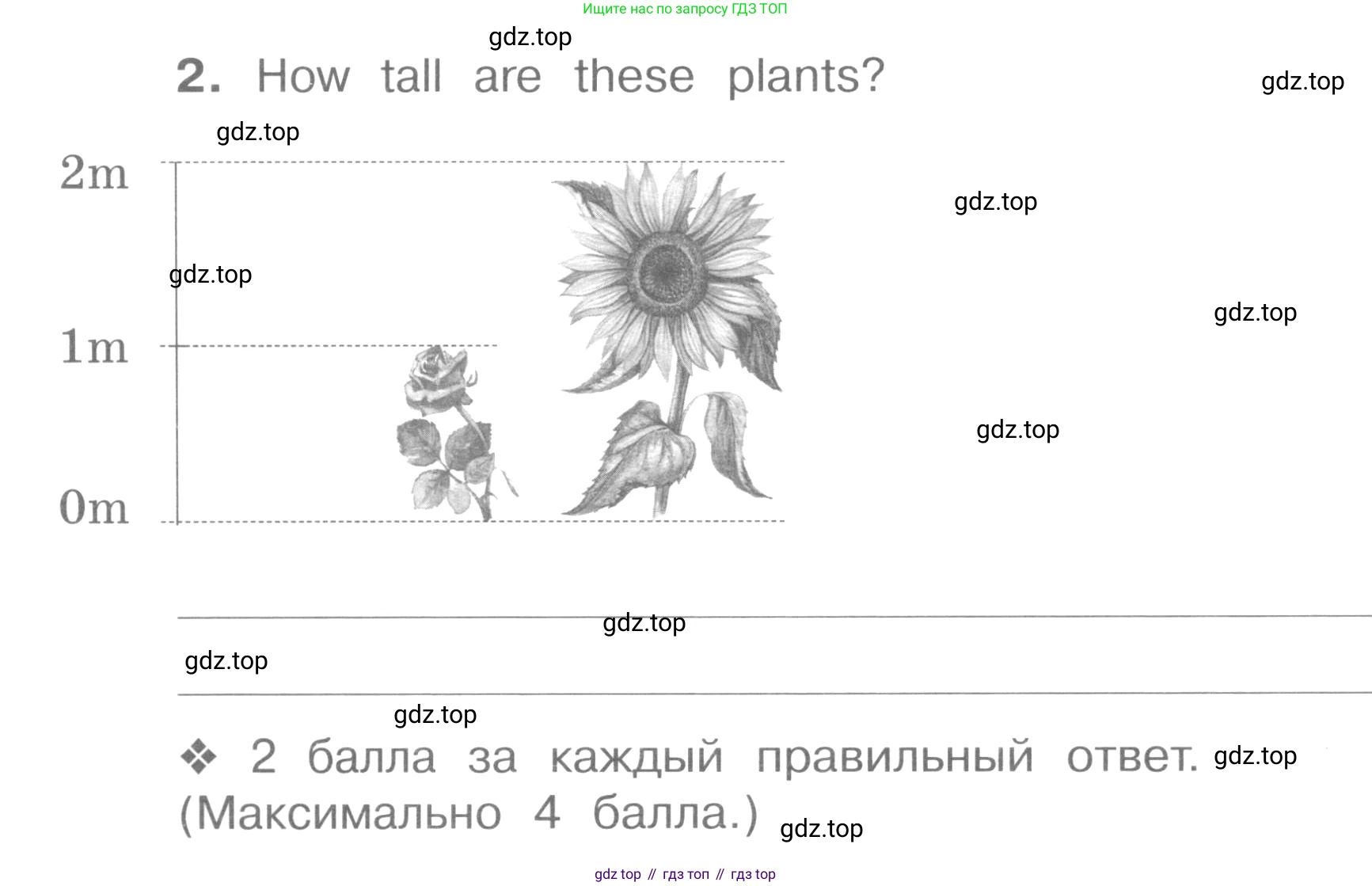 ГДЗ Английский язык (english), 4 класс рабочая тетрадь (activity book), авторы: Вербицкая Мария Валерьевна (Verbitskaya Maria), Эббс Брайен (Abbs Brian), Уорелл Энн (Worrall Anne), Уорд Энн (Ward Ann), издательство Вентана-граф, Москва, 2017, оранжевого цвета, страница 88, номер 2, Условие
