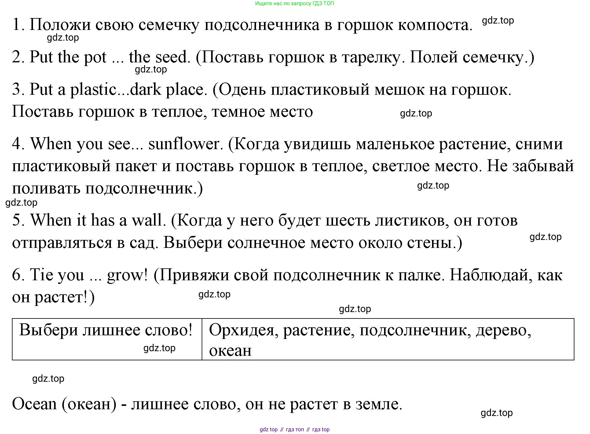 ГДЗ Английский язык (english), 4 класс рабочая тетрадь (activity book), авторы: Вербицкая Мария Валерьевна (Verbitskaya Maria), Эббс Брайен (Abbs Brian), Уорелл Энн (Worrall Anne), Уорд Энн (Ward Ann), издательство Вентана-граф, Москва, 2017, оранжевого цвета, страница 22, номер F, Решение (продолжение 2)