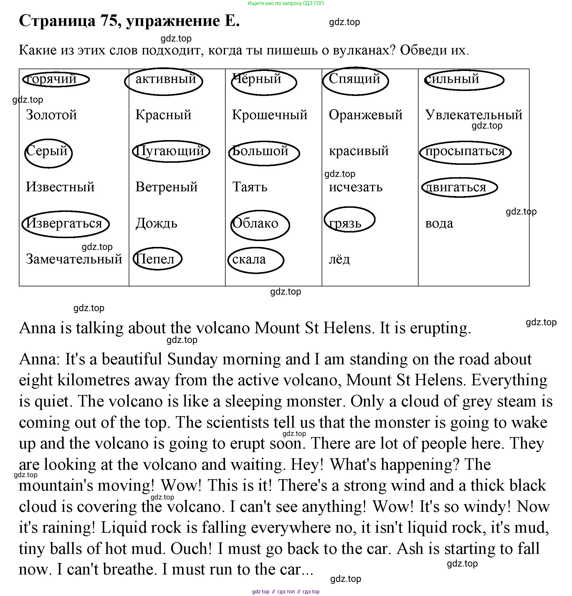 ГДЗ Английский язык (english), 4 класс рабочая тетрадь (activity book), авторы: Вербицкая Мария Валерьевна (Verbitskaya Maria), Эббс Брайен (Abbs Brian), Уорелл Энн (Worrall Anne), Уорд Энн (Ward Ann), издательство Вентана-граф, Москва, 2017, оранжевого цвета, страница 75, номер E, Решение