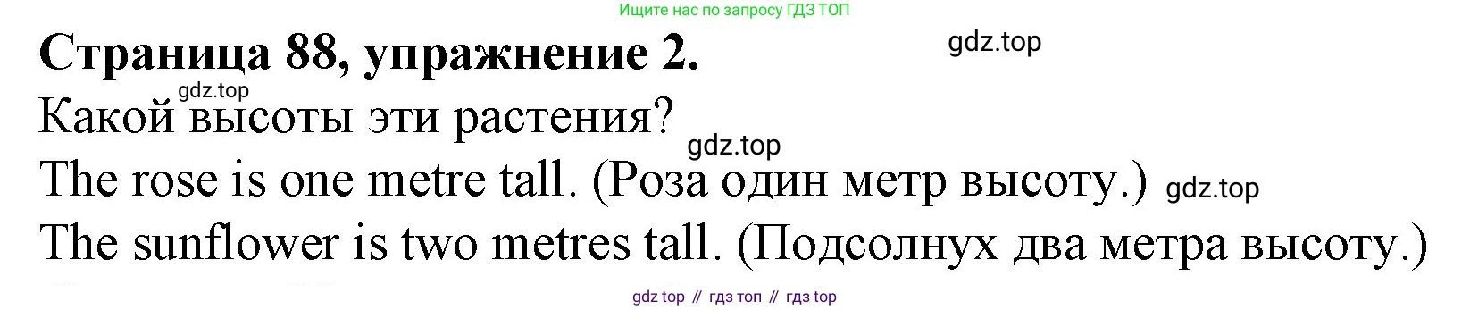 ГДЗ Английский язык (english), 4 класс рабочая тетрадь (activity book), авторы: Вербицкая Мария Валерьевна (Verbitskaya Maria), Эббс Брайен (Abbs Brian), Уорелл Энн (Worrall Anne), Уорд Энн (Ward Ann), издательство Вентана-граф, Москва, 2017, оранжевого цвета, страница 88, номер 2, Решение