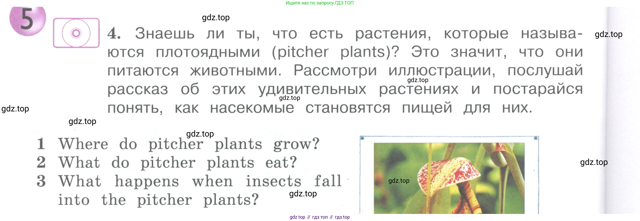 ГДЗ Английский язык (english), 4 класс Учебник (Student's book), авторы: Вербицкая Мария Валерьевна (Verbitskaya Maria), Эббс Брайен (Abbs Brian), Уорелл Энн (Worrall Anne), Уорд Энн (Ward Ann), издательство Вентана-граф, Москва, 2019, белого цвета, Часть ( Part) 1, страница 36, номер 4, Условие