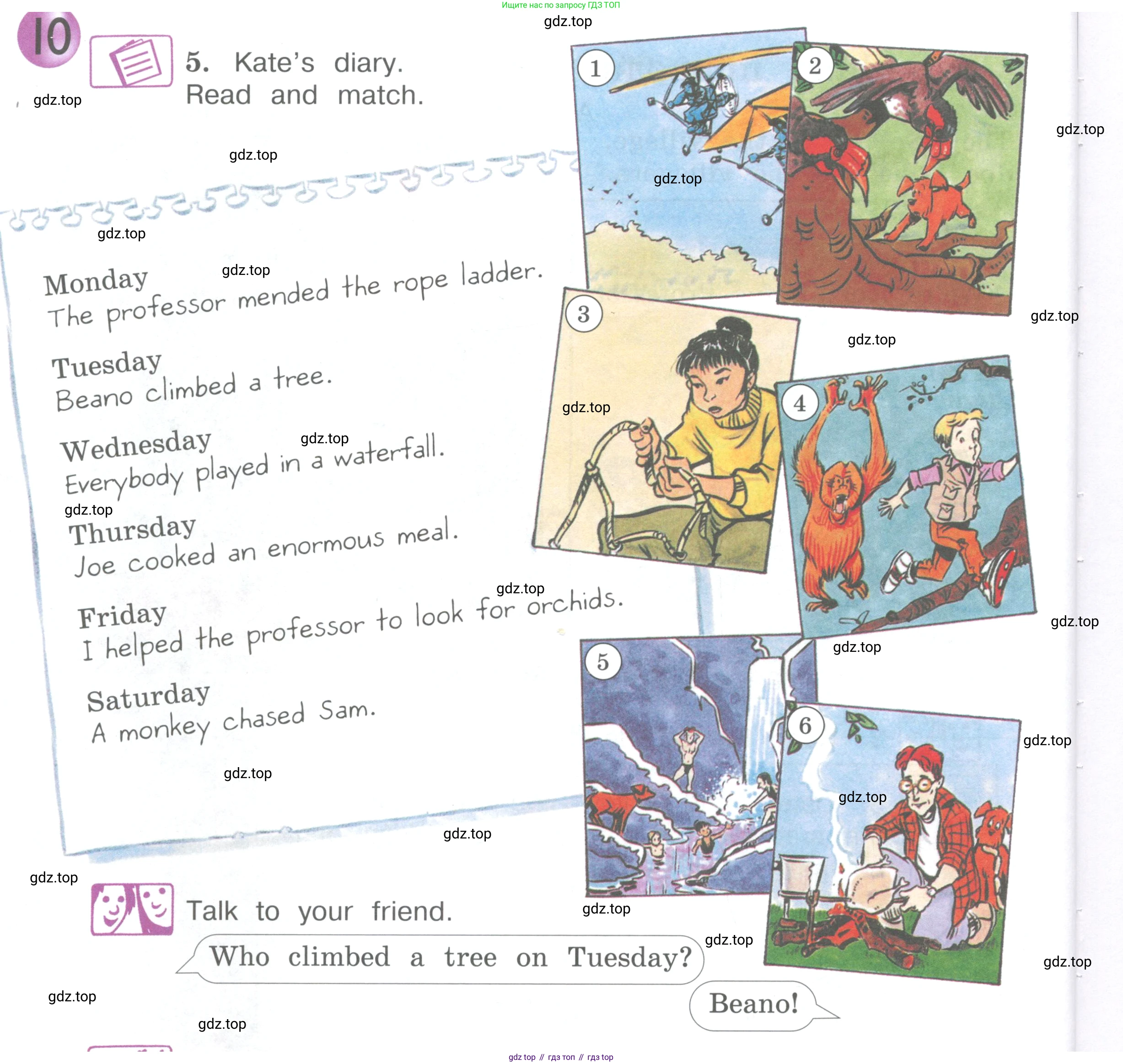 ГДЗ Английский язык (english), 4 класс Учебник (Student's book), авторы: Вербицкая Мария Валерьевна (Verbitskaya Maria), Эббс Брайен (Abbs Brian), Уорелл Энн (Worrall Anne), Уорд Энн (Ward Ann), издательство Вентана-граф, Москва, 2019, белого цвета, Часть ( Part) 2, страница 6, номер 5, Условие