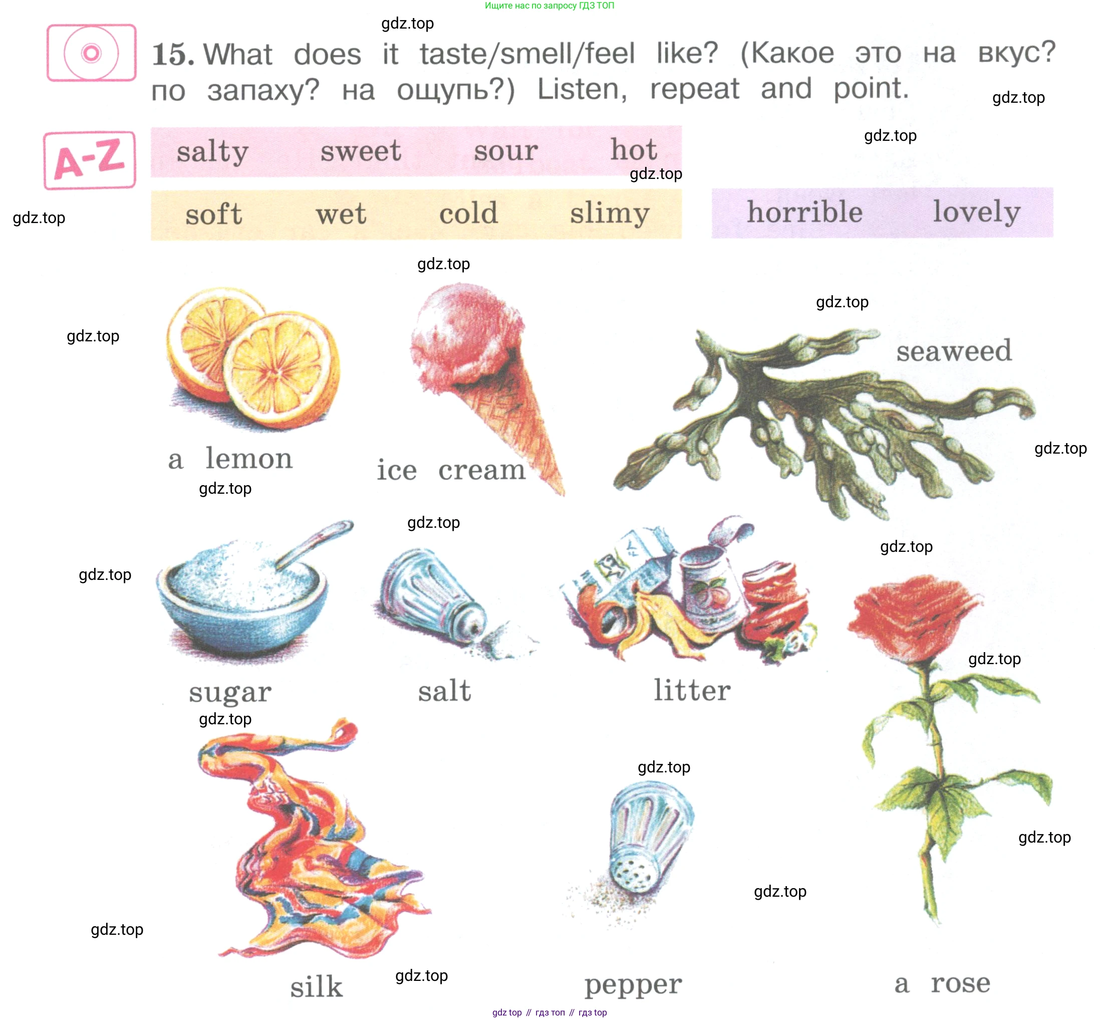 ГДЗ Английский язык (english), 4 класс Учебник (Student's book), авторы: Вербицкая Мария Валерьевна (Verbitskaya Maria), Эббс Брайен (Abbs Brian), Уорелл Энн (Worrall Anne), Уорд Энн (Ward Ann), издательство Вентана-граф, Москва, 2019, белого цвета, Часть ( Part) 2, страница 17, номер 15, Условие