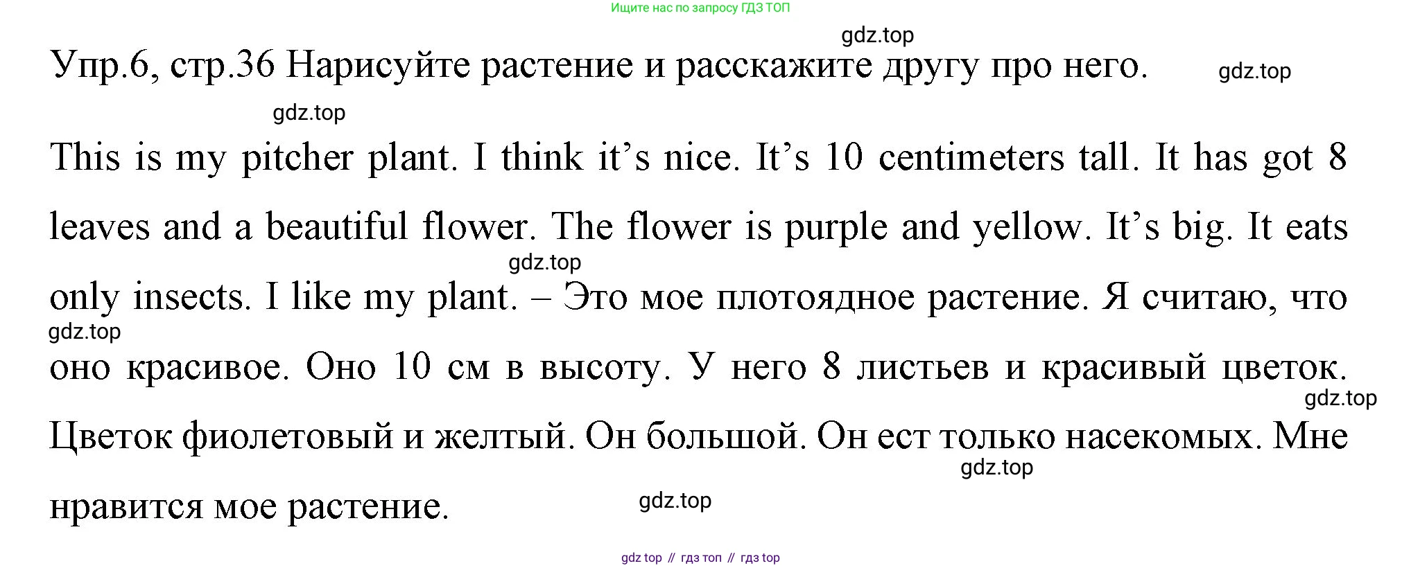 ГДЗ Английский язык (english), 4 класс Учебник (Student's book), авторы: Вербицкая Мария Валерьевна (Verbitskaya Maria), Эббс Брайен (Abbs Brian), Уорелл Энн (Worrall Anne), Уорд Энн (Ward Ann), издательство Вентана-граф, Москва, 2019, белого цвета, Часть ( Part) 1, страница 36, номер 6, Решение 1