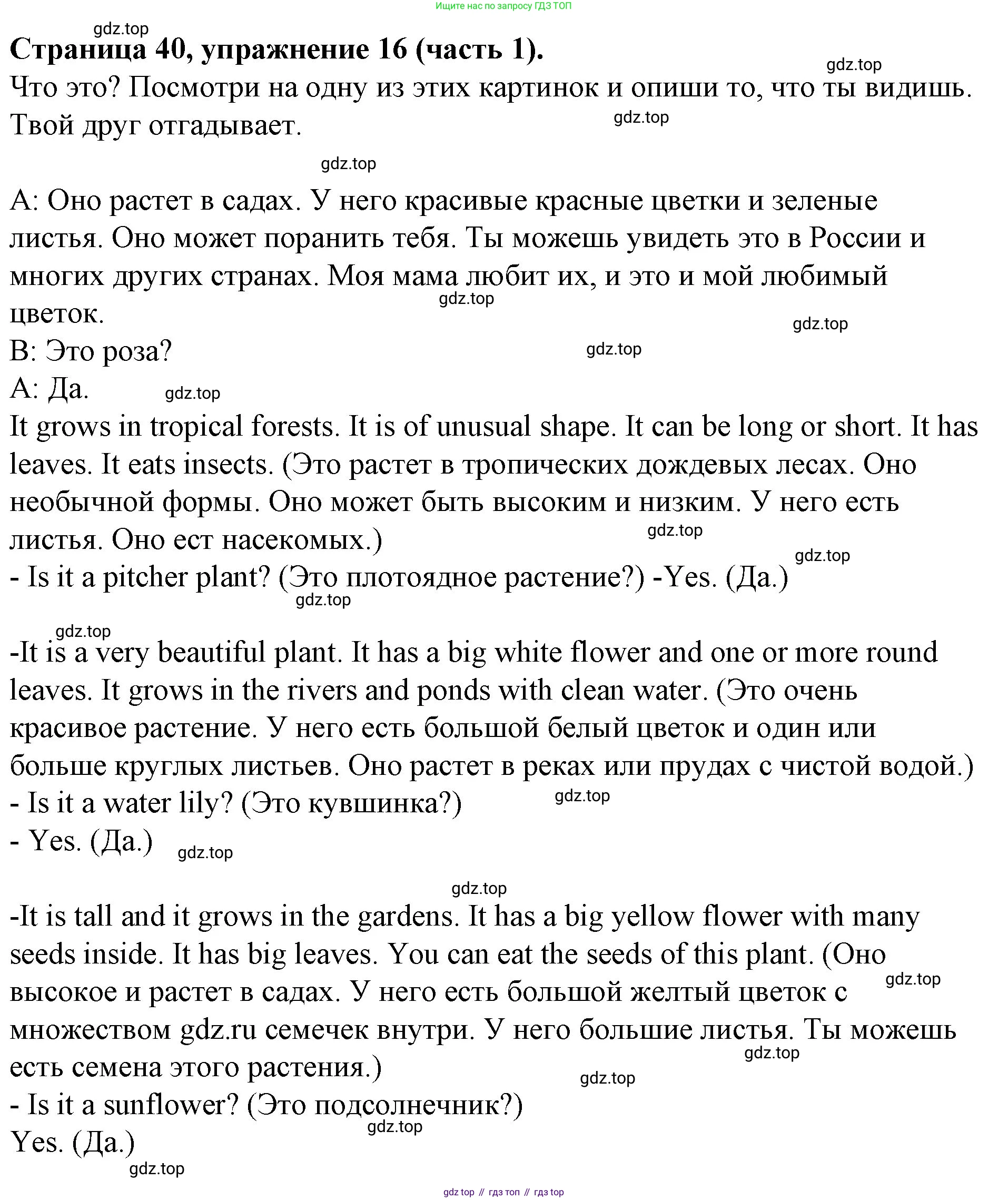 ГДЗ Английский язык (english), 4 класс Учебник (Student's book), авторы: Вербицкая Мария Валерьевна (Verbitskaya Maria), Эббс Брайен (Abbs Brian), Уорелл Энн (Worrall Anne), Уорд Энн (Ward Ann), издательство Вентана-граф, Москва, 2019, белого цвета, Часть ( Part) 1, страница 40, номер 16, Решение 2