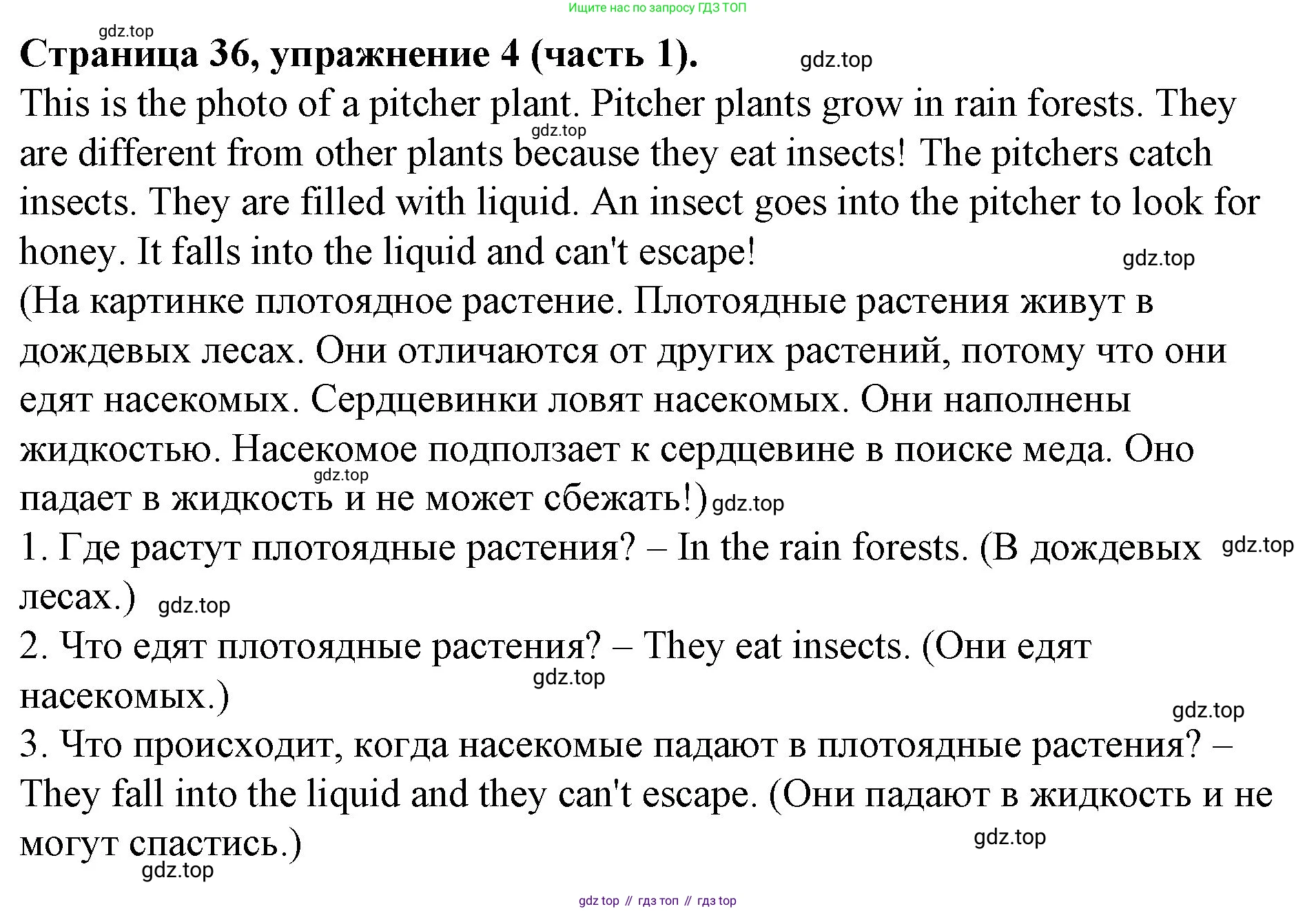 ГДЗ Английский язык (english), 4 класс Учебник (Student's book), авторы: Вербицкая Мария Валерьевна (Verbitskaya Maria), Эббс Брайен (Abbs Brian), Уорелл Энн (Worrall Anne), Уорд Энн (Ward Ann), издательство Вентана-граф, Москва, 2019, белого цвета, Часть ( Part) 1, страница 36, номер 4, Решение 2